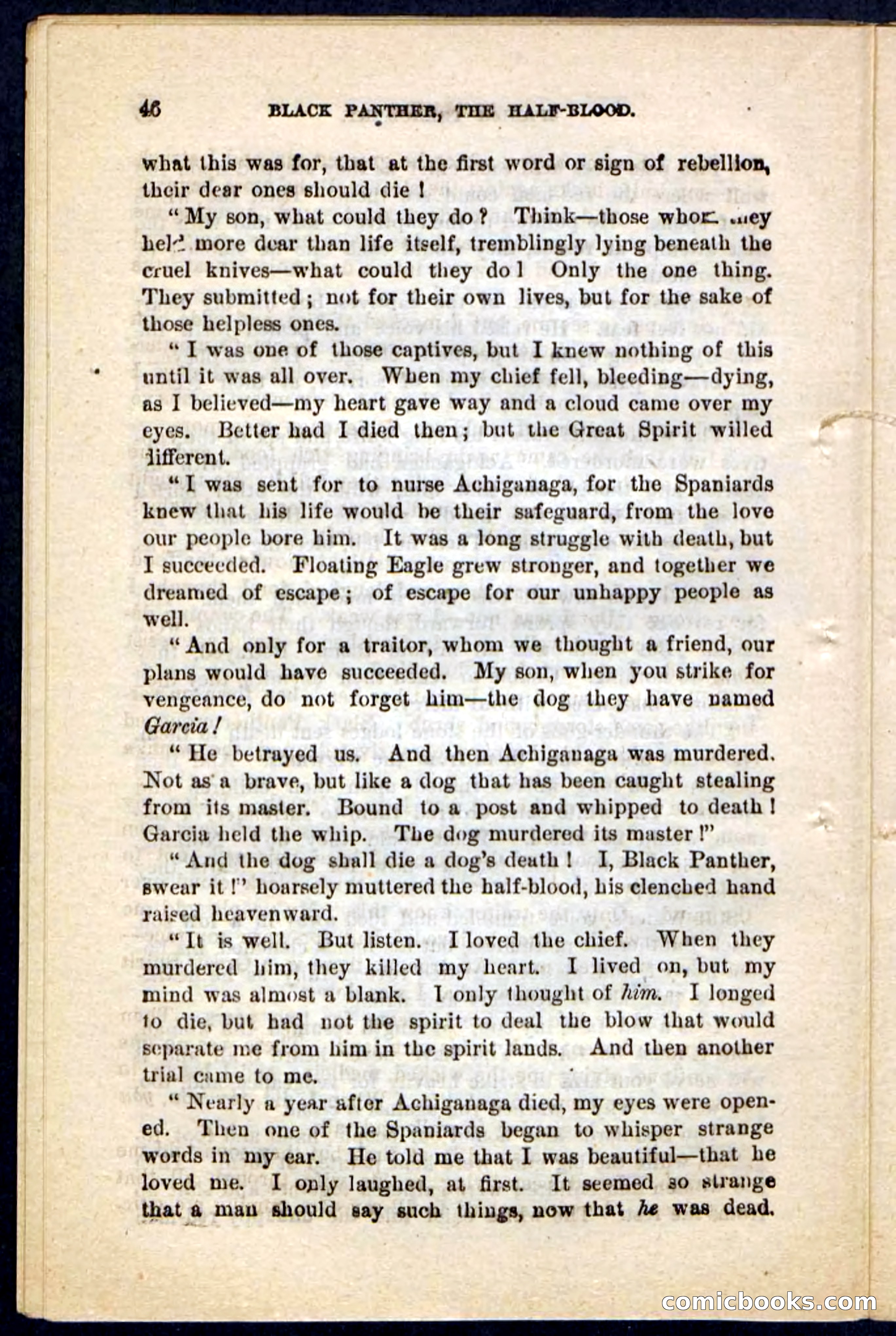 Black Panther — page 42 of 100