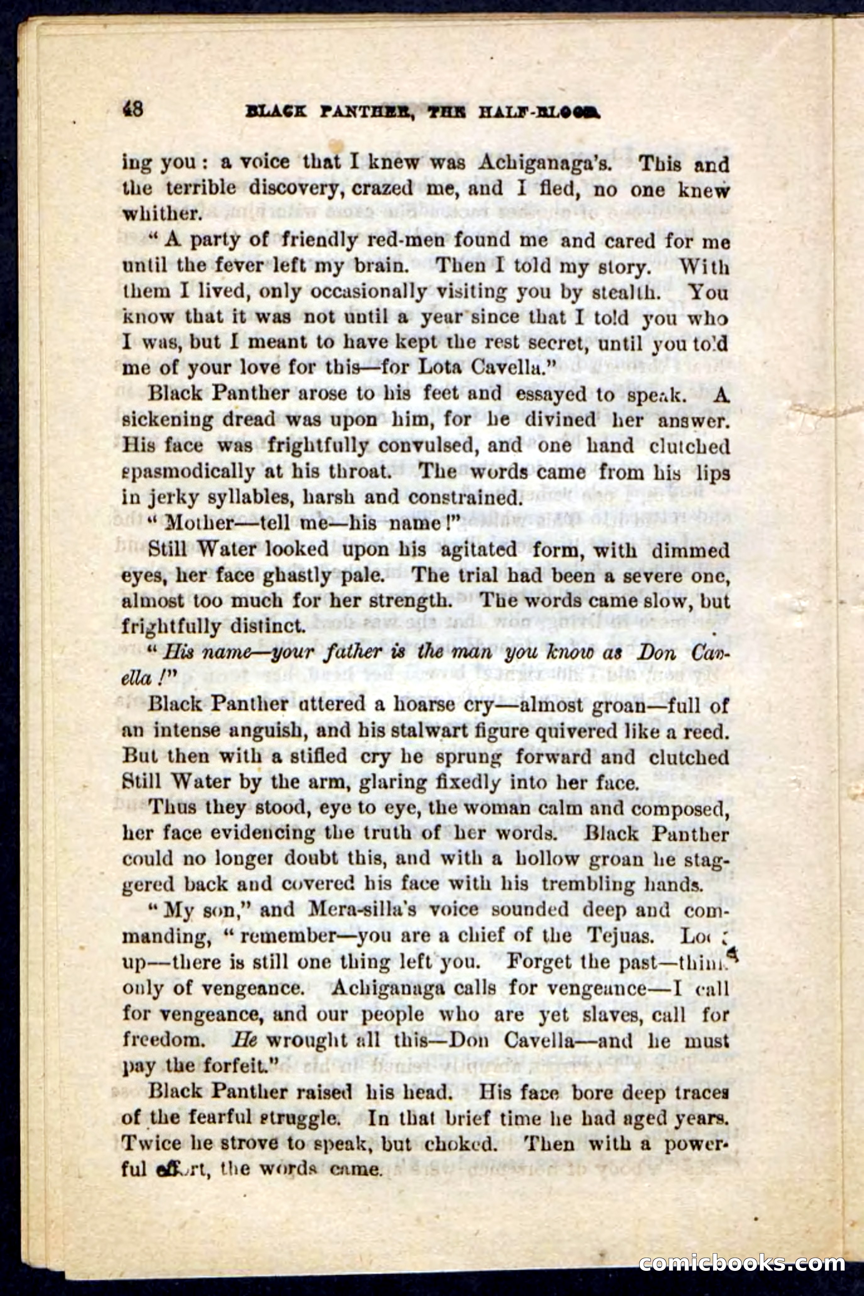 Black Panther — page 44 of 100