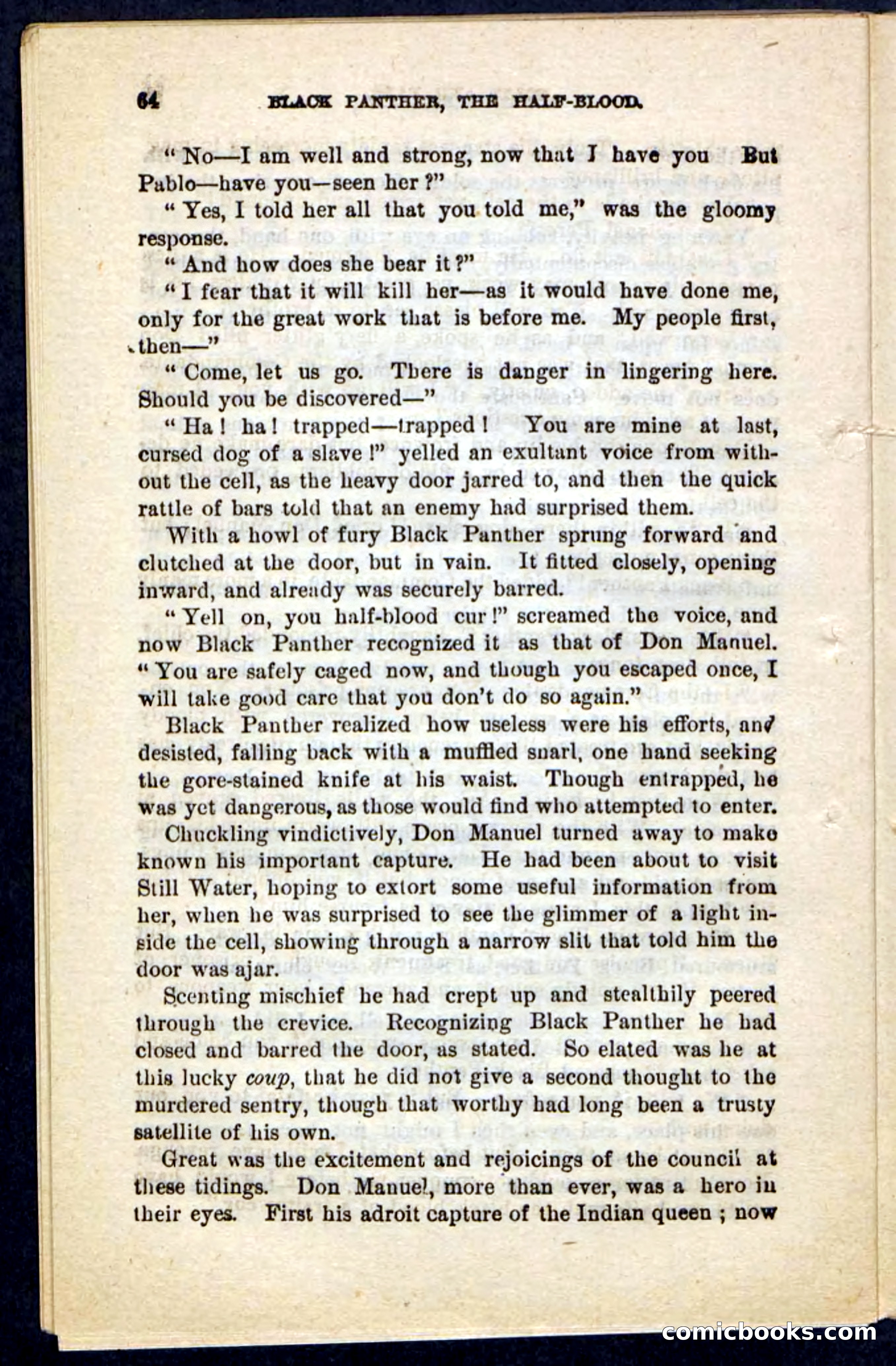 Black Panther — page 60 of 100