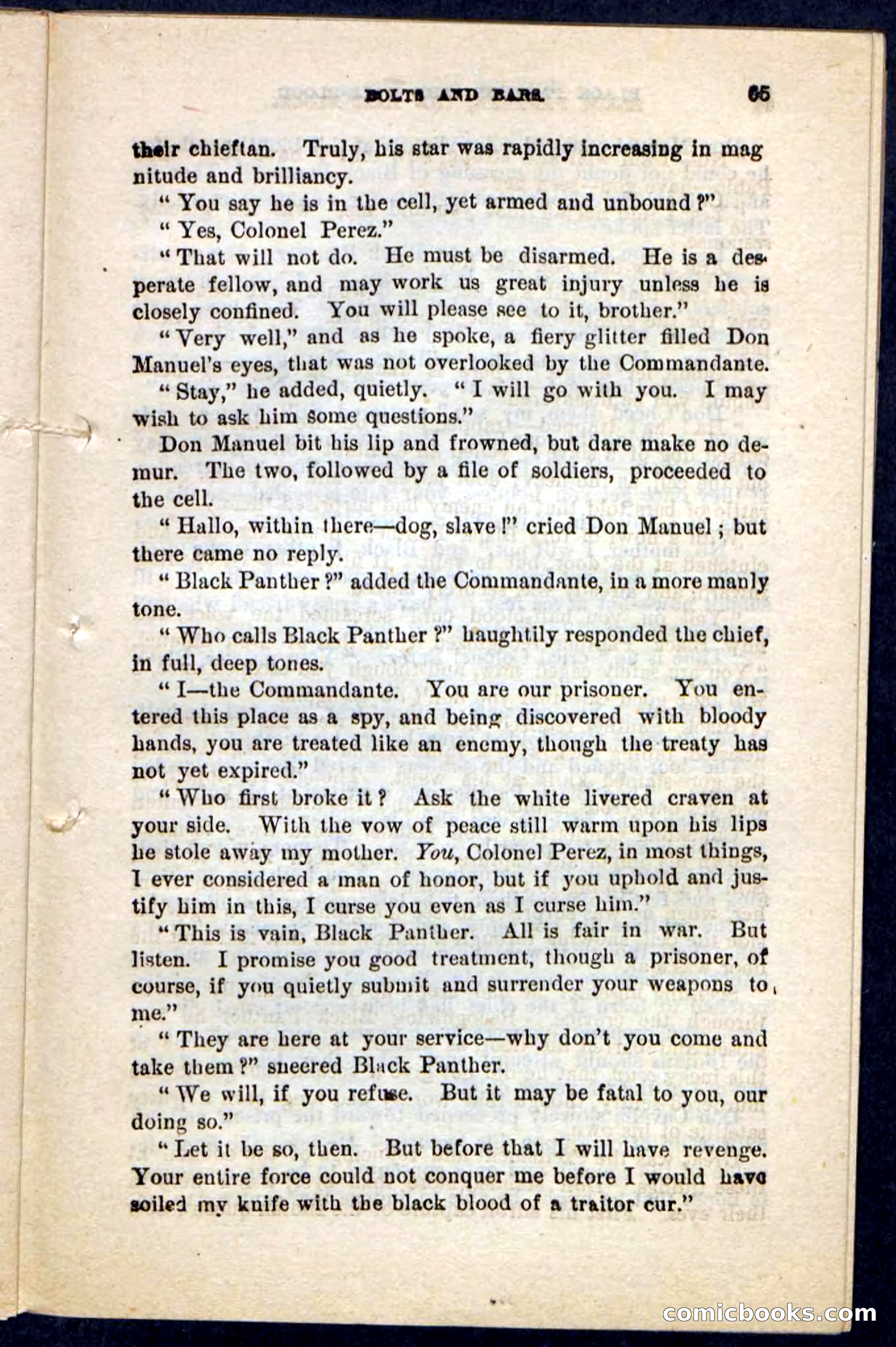 Black Panther — page 61 of 100