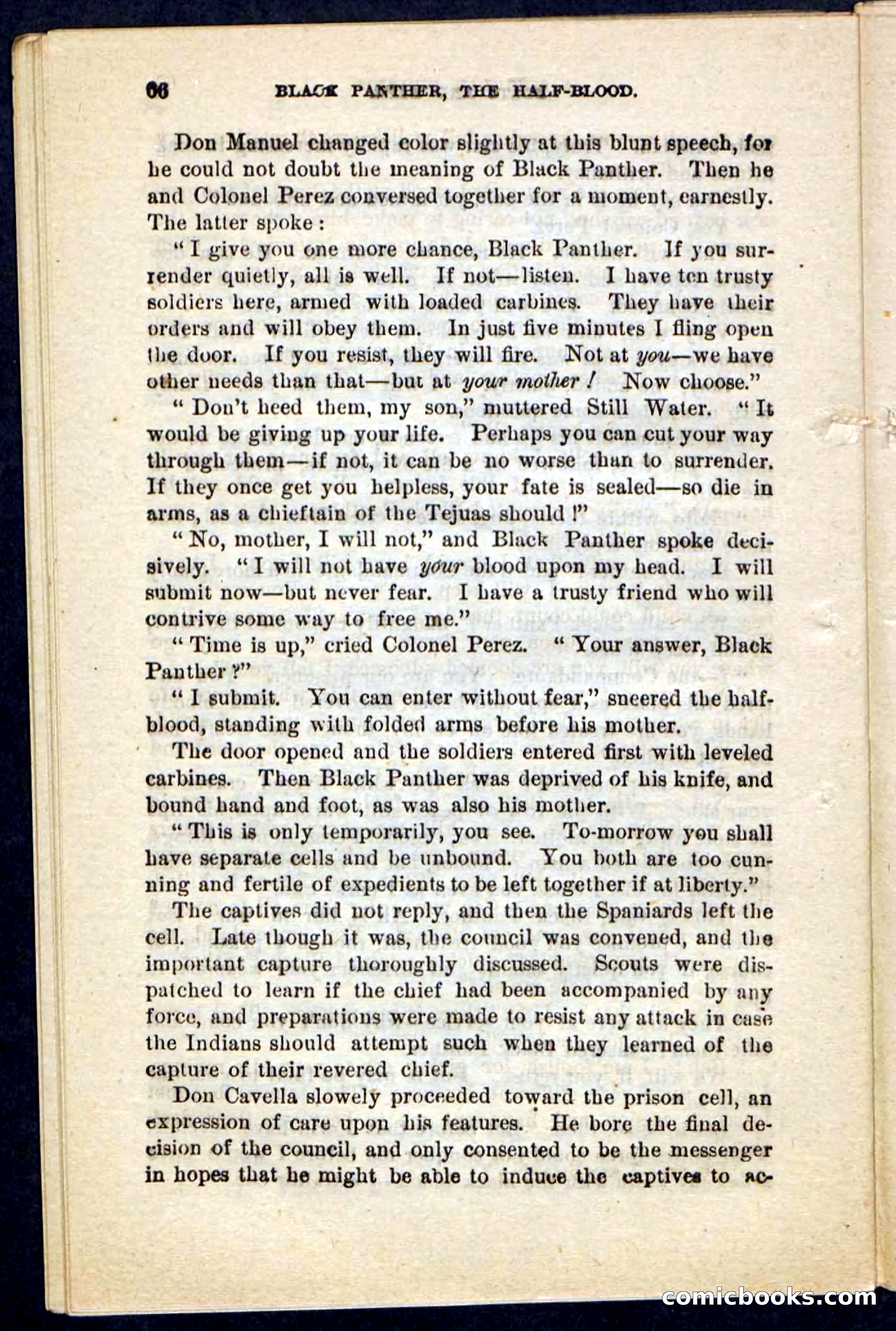 Black Panther — page 62 of 100
