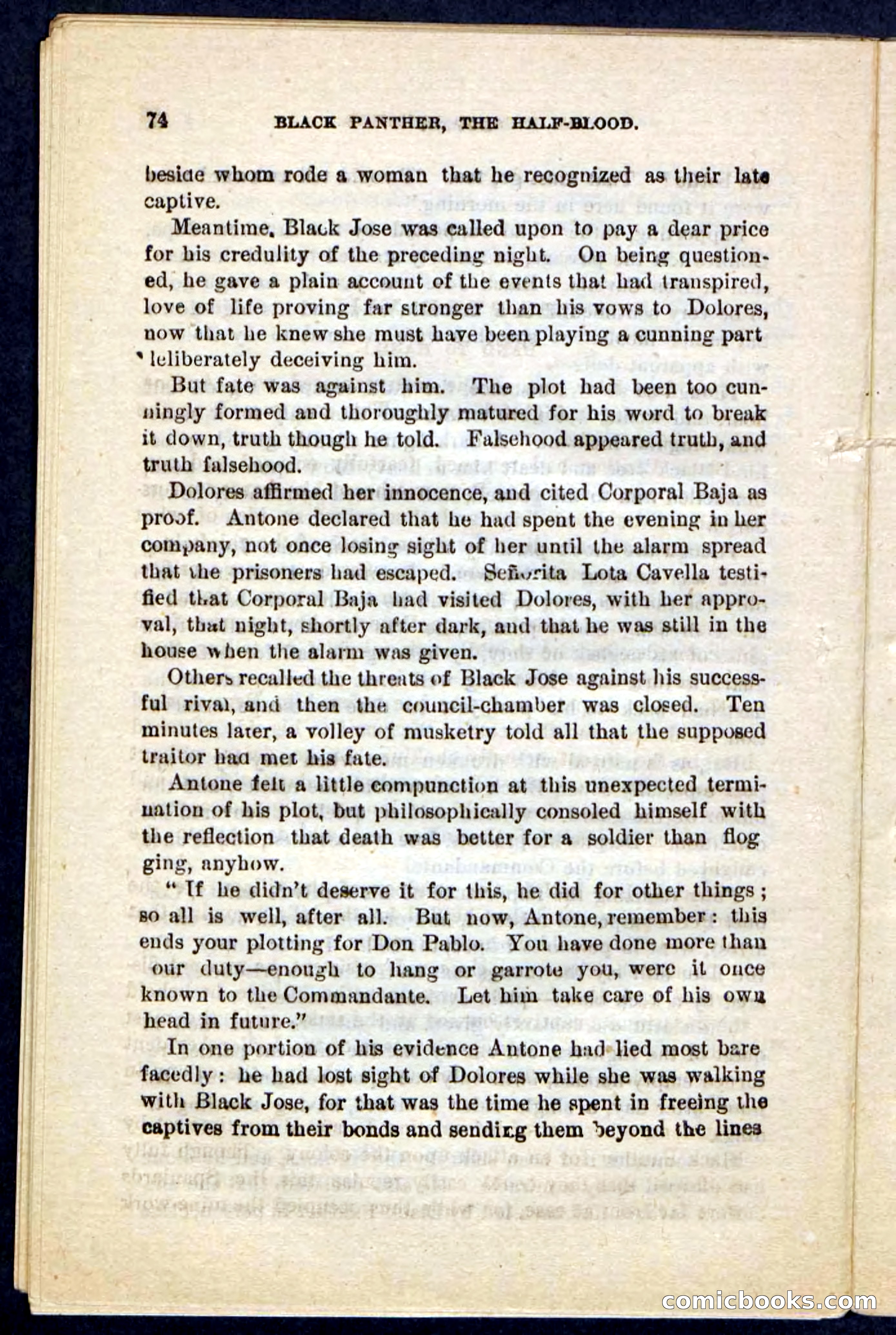 Black Panther — page 70 of 100