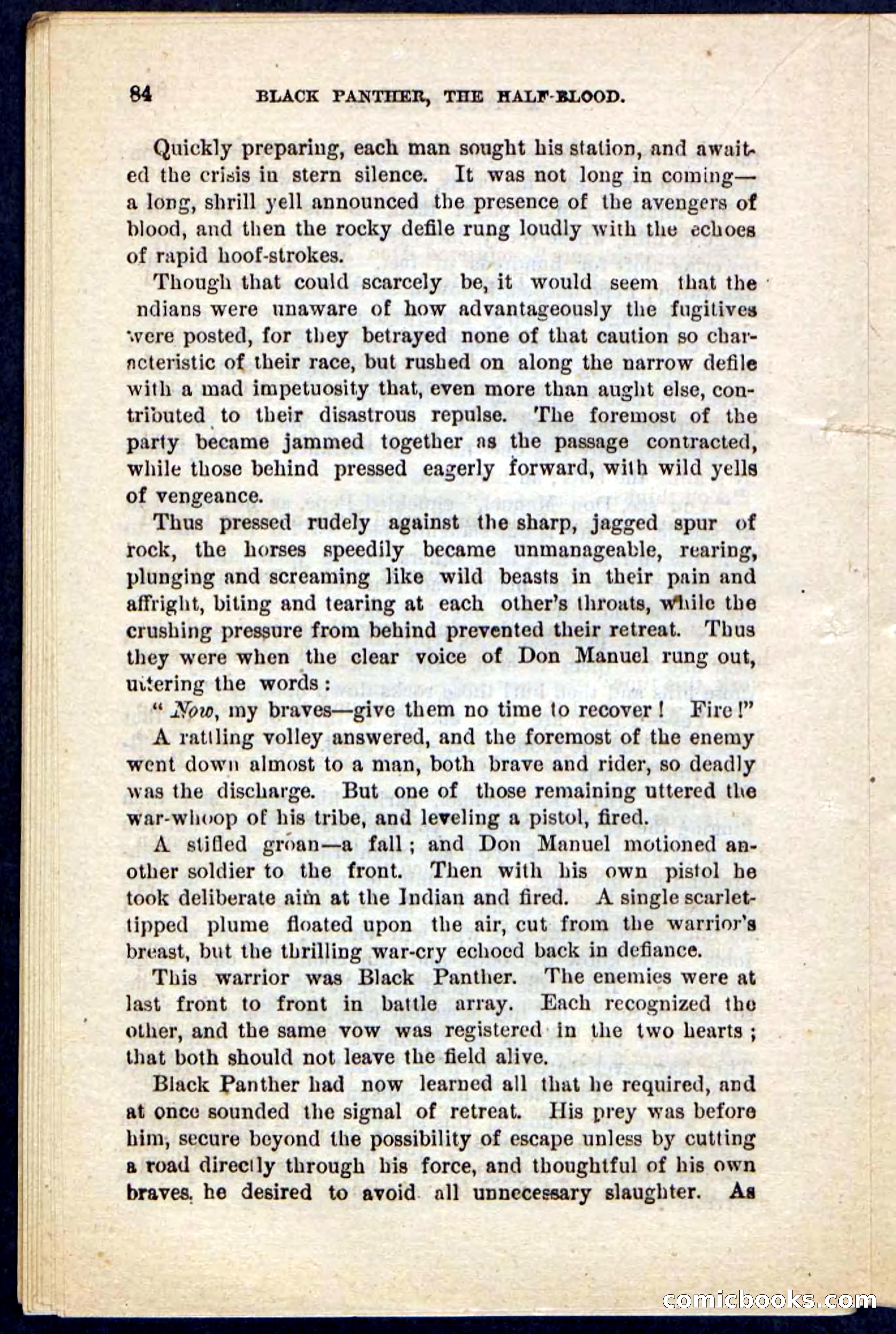 Black Panther — page 80 of 100