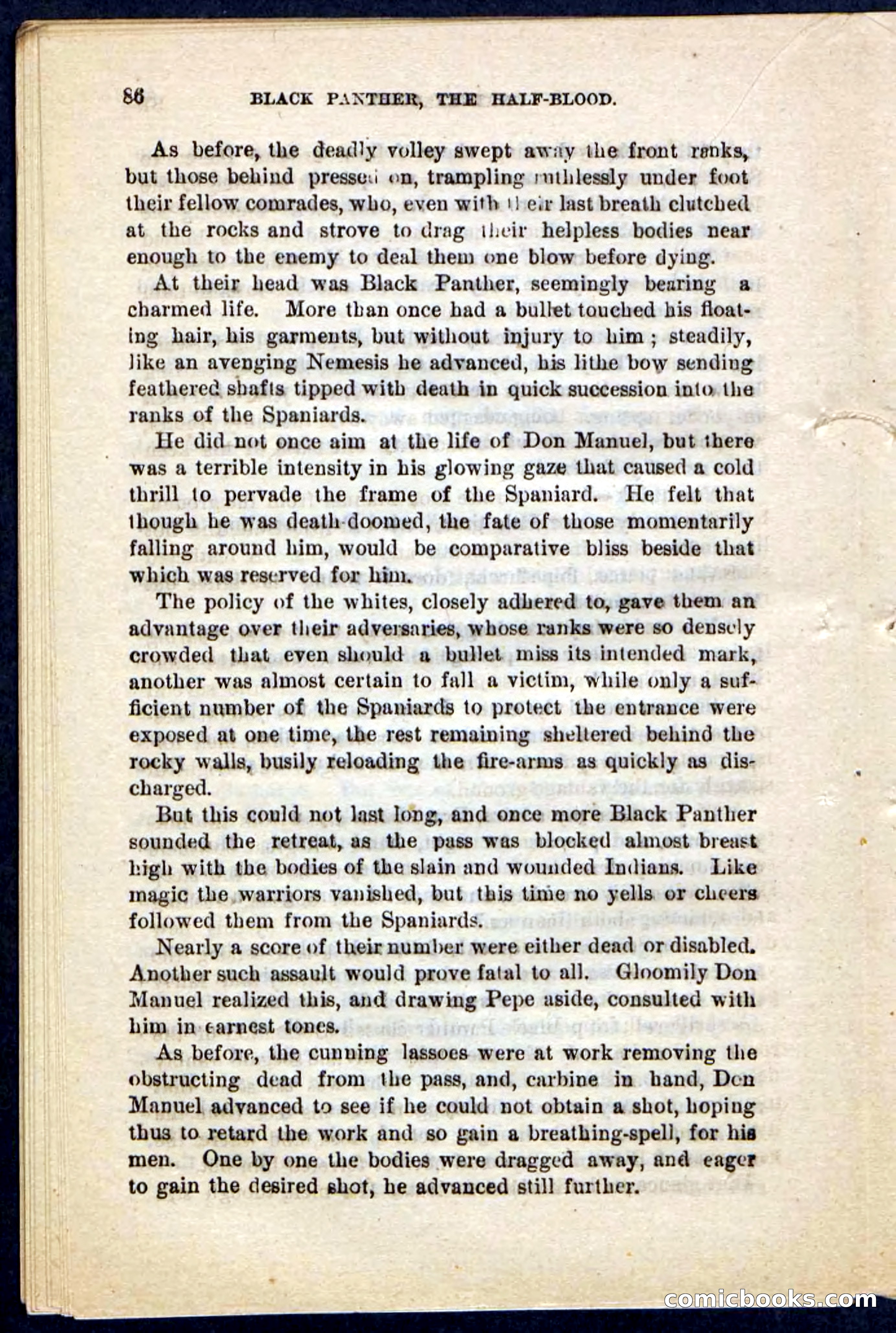 Black Panther — page 82 of 100