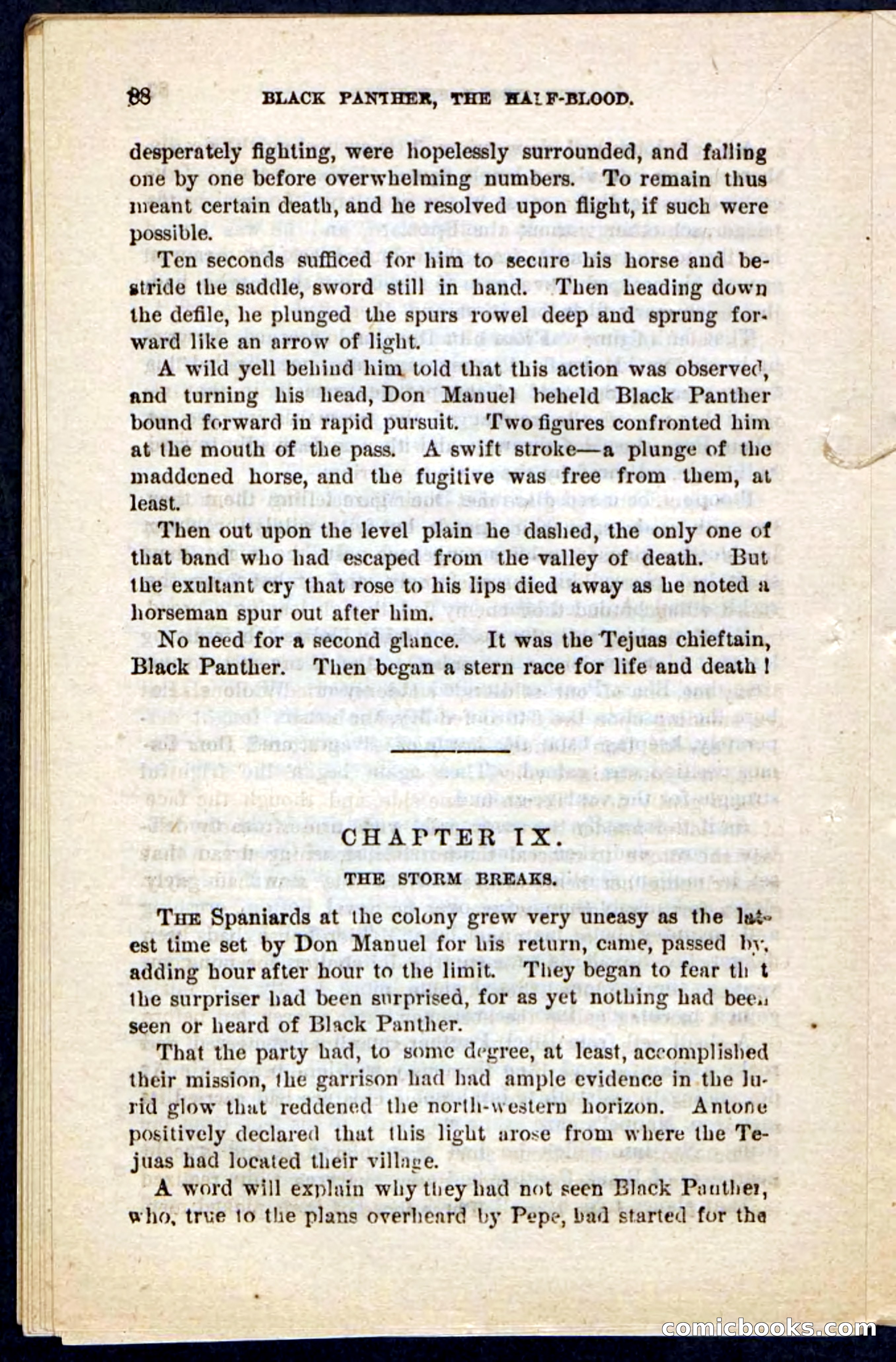 Black Panther — page 84 of 100