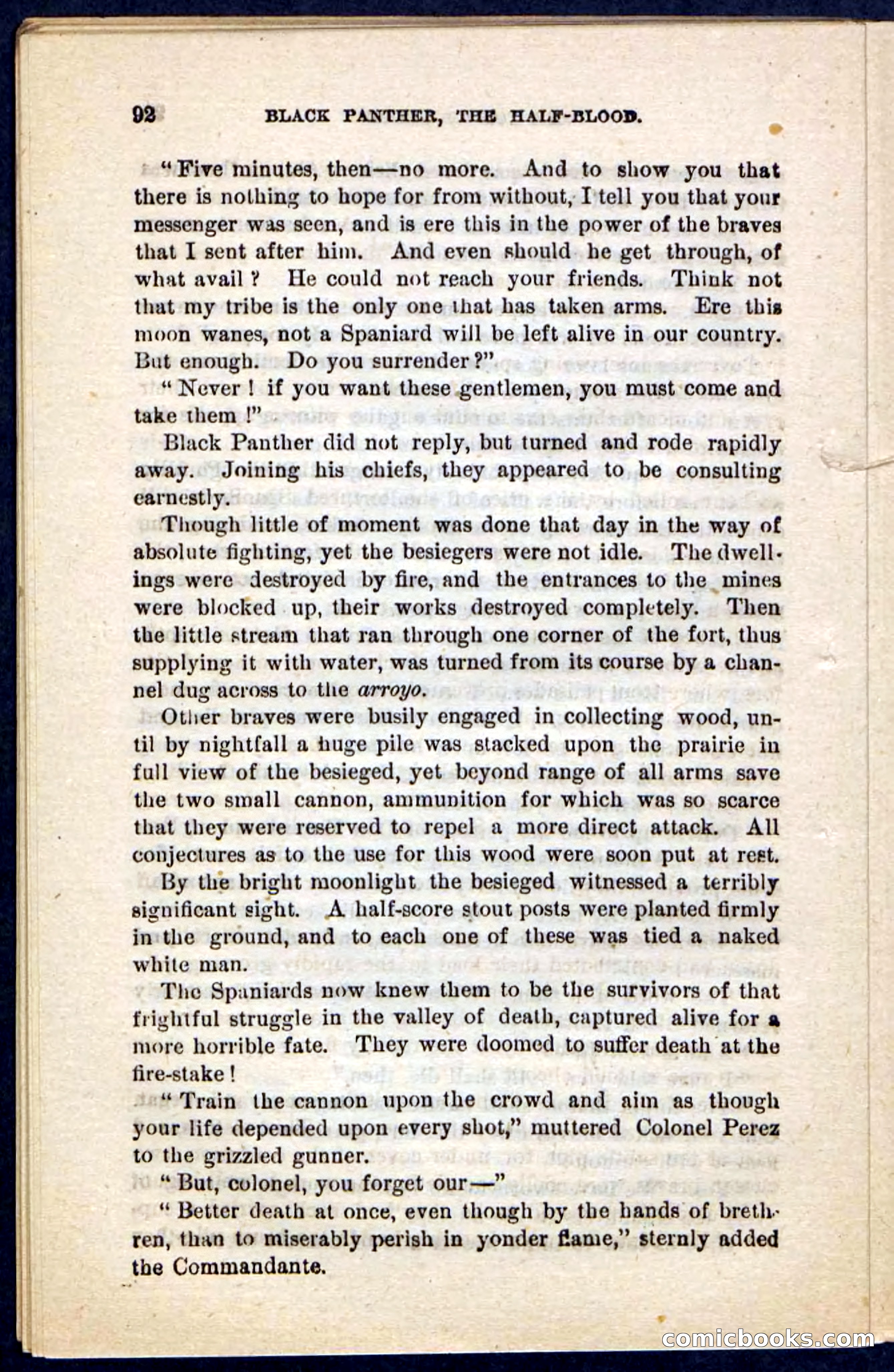 Black Panther — page 88 of 100