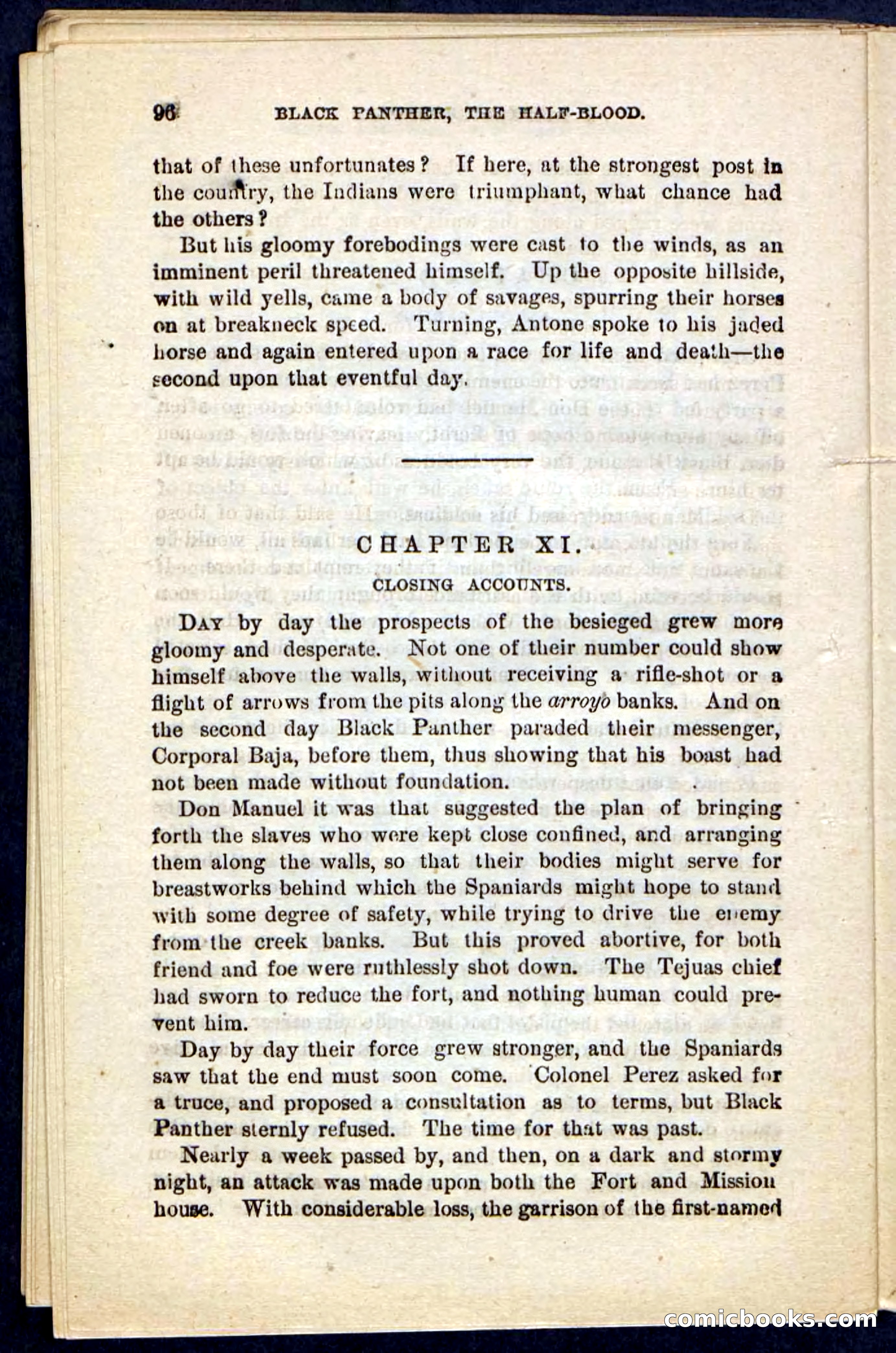 Black Panther — page 92 of 100