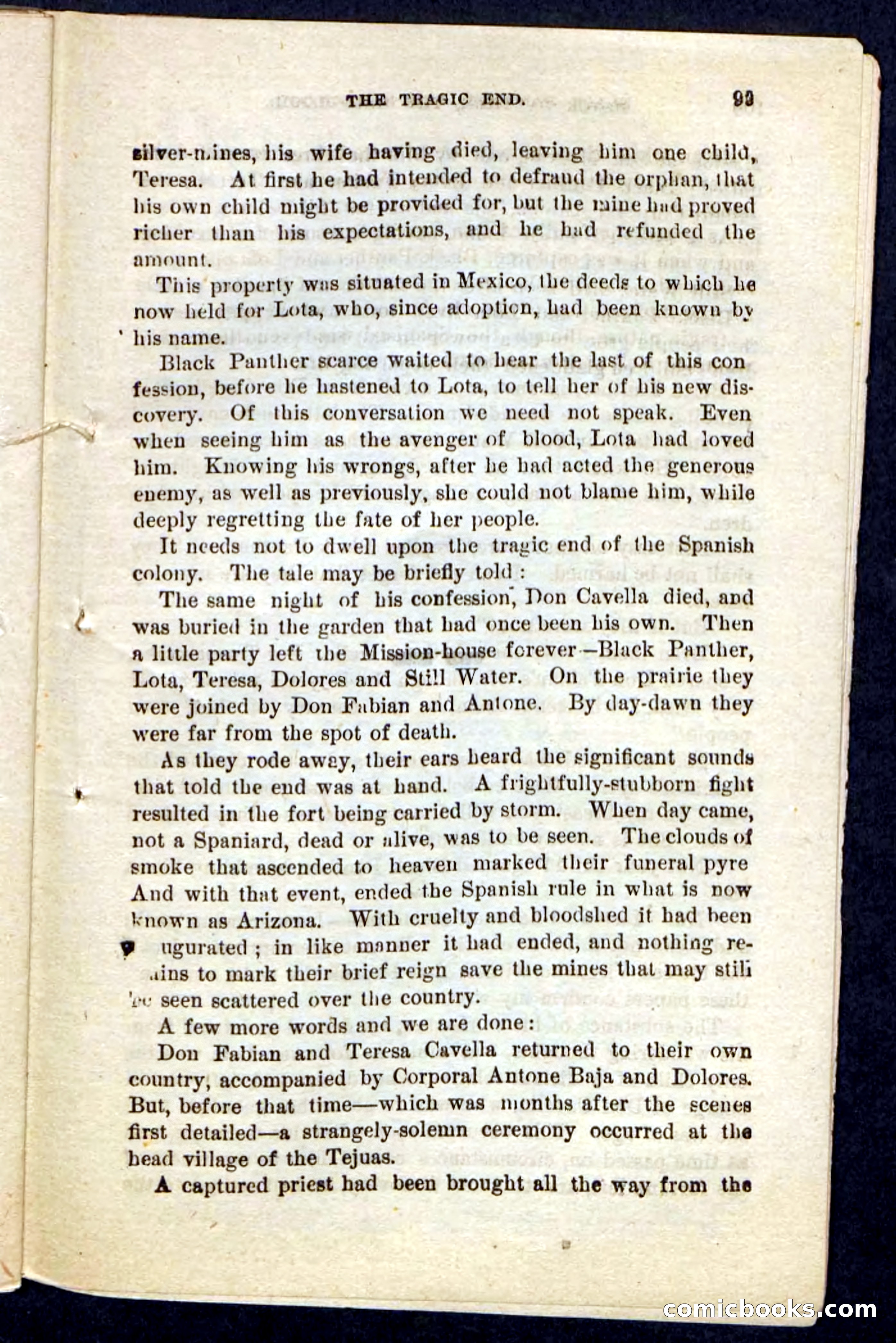 Black Panther — page 95 of 100