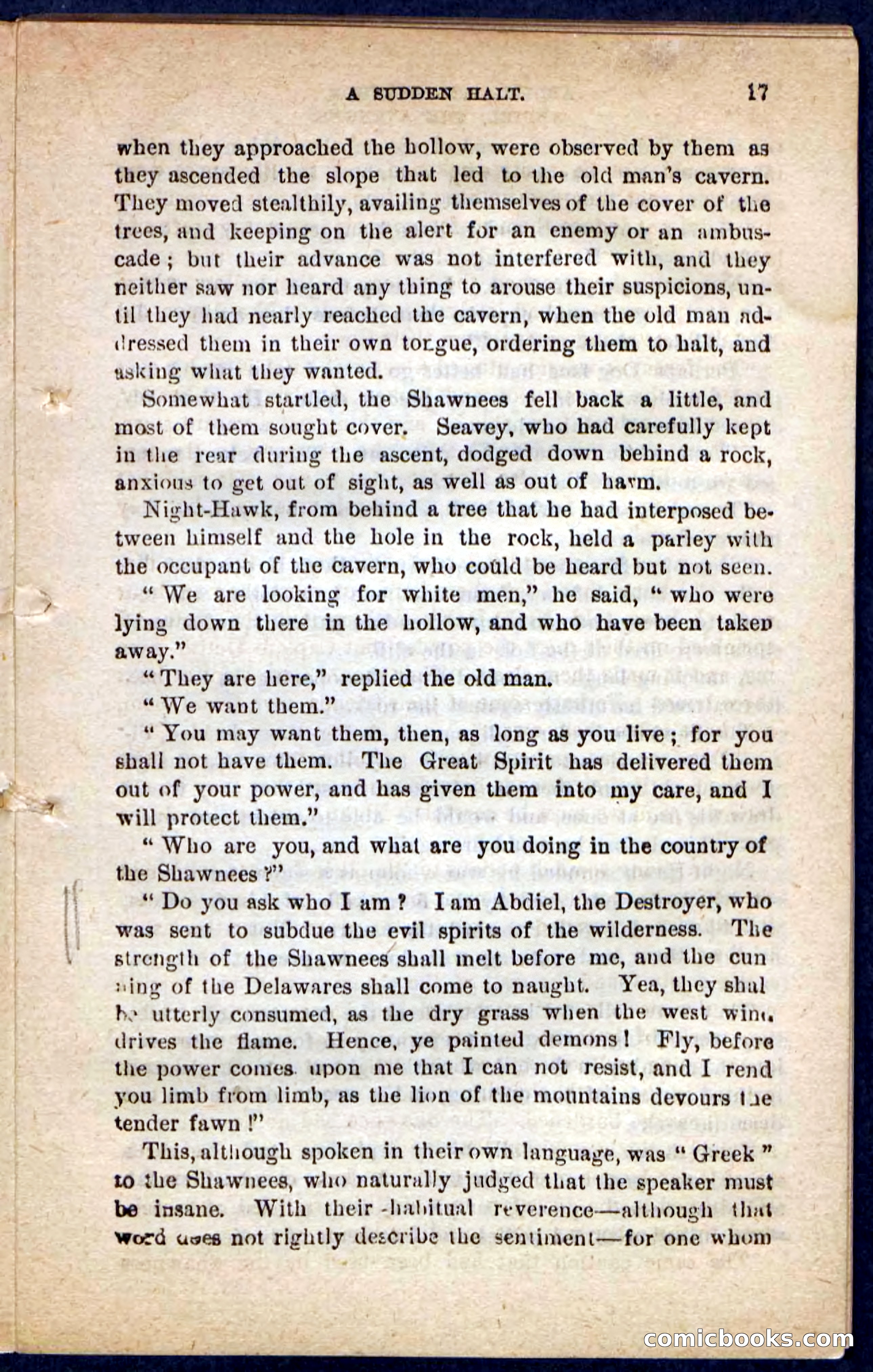 Beadle's Pocket Novels No. 117: Abdiel, the Avenger — page 13 of 100