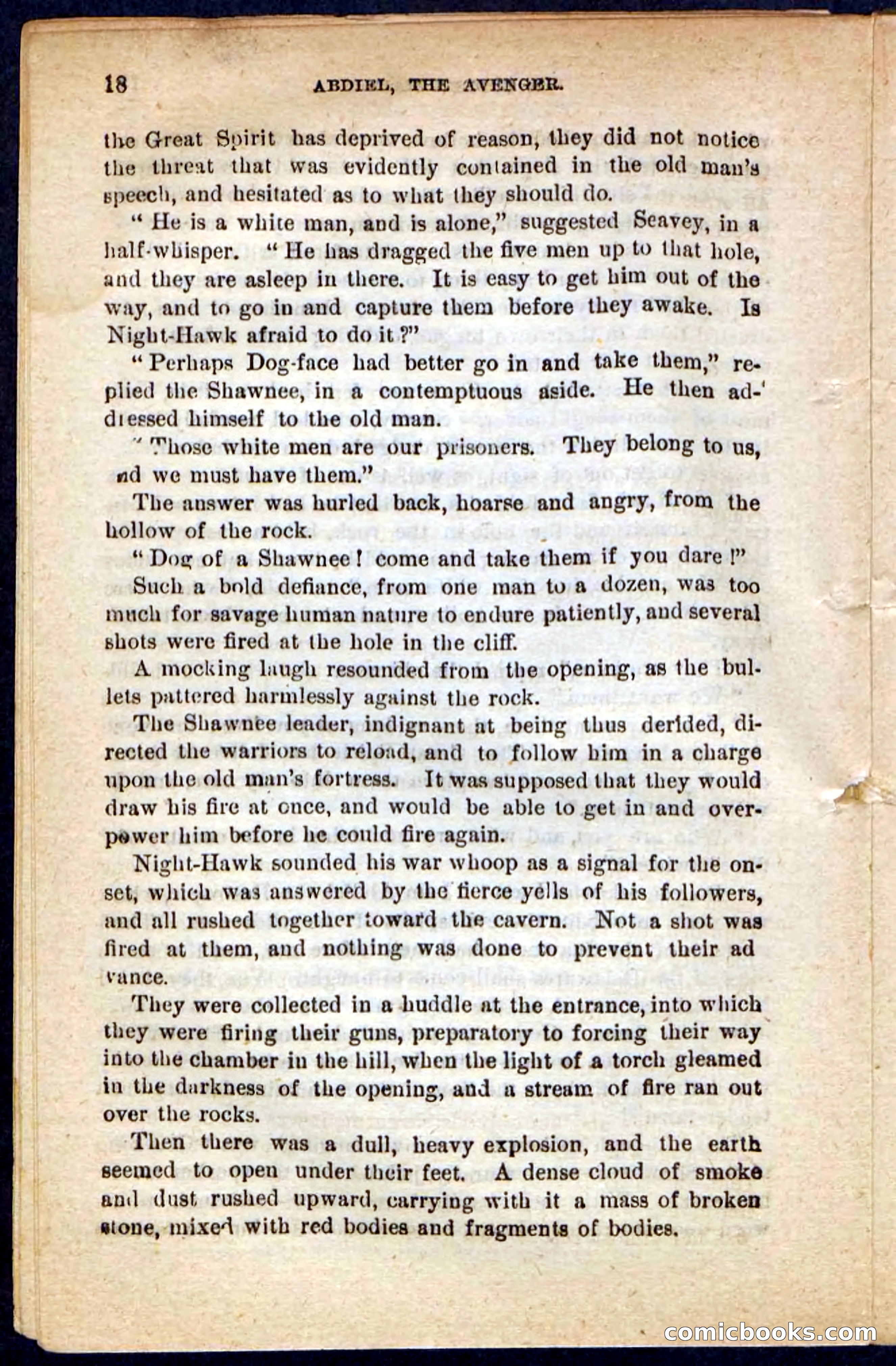 Beadle's Pocket Novels No. 117: Abdiel, the Avenger — page 14 of 100
