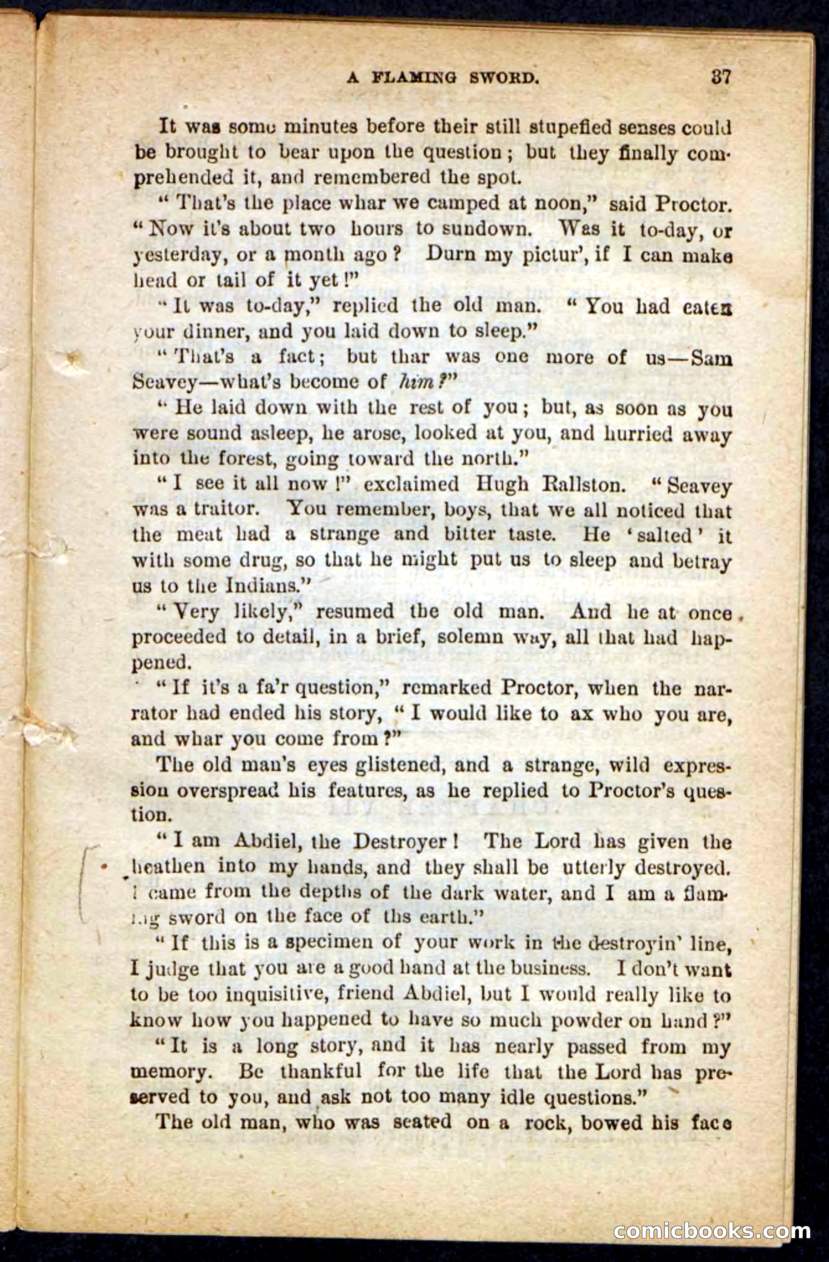 Beadle's Pocket Novels No. 117: Abdiel, the Avenger — page 33 of 100