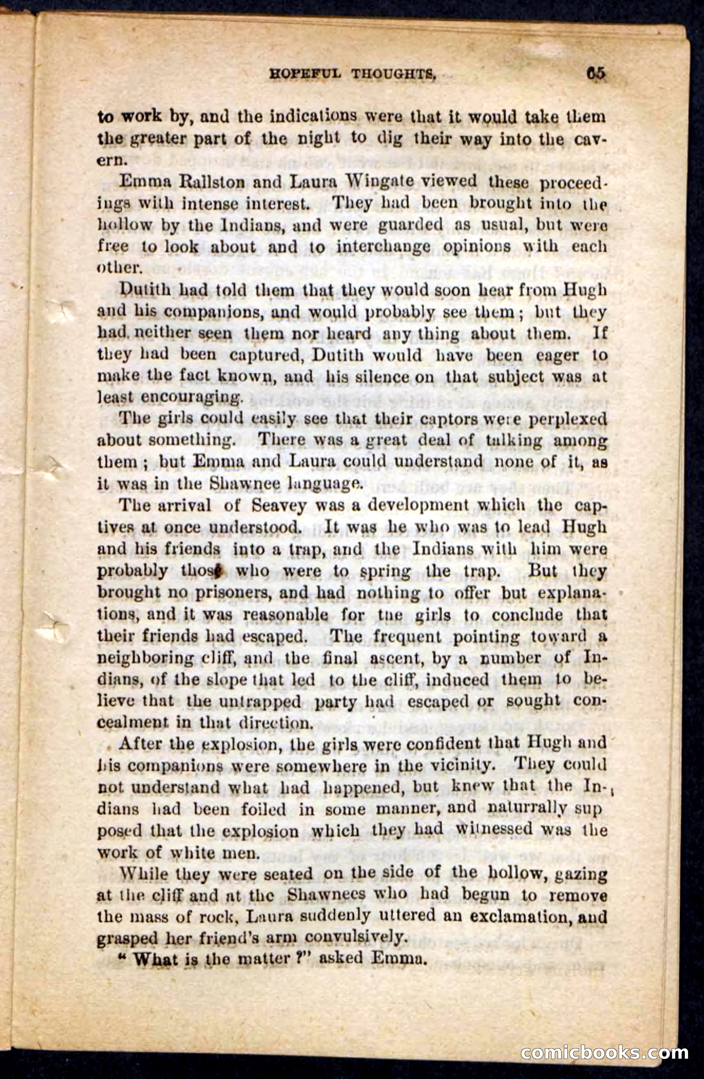 Beadle's Pocket Novels No. 117: Abdiel, the Avenger — page 61 of 100