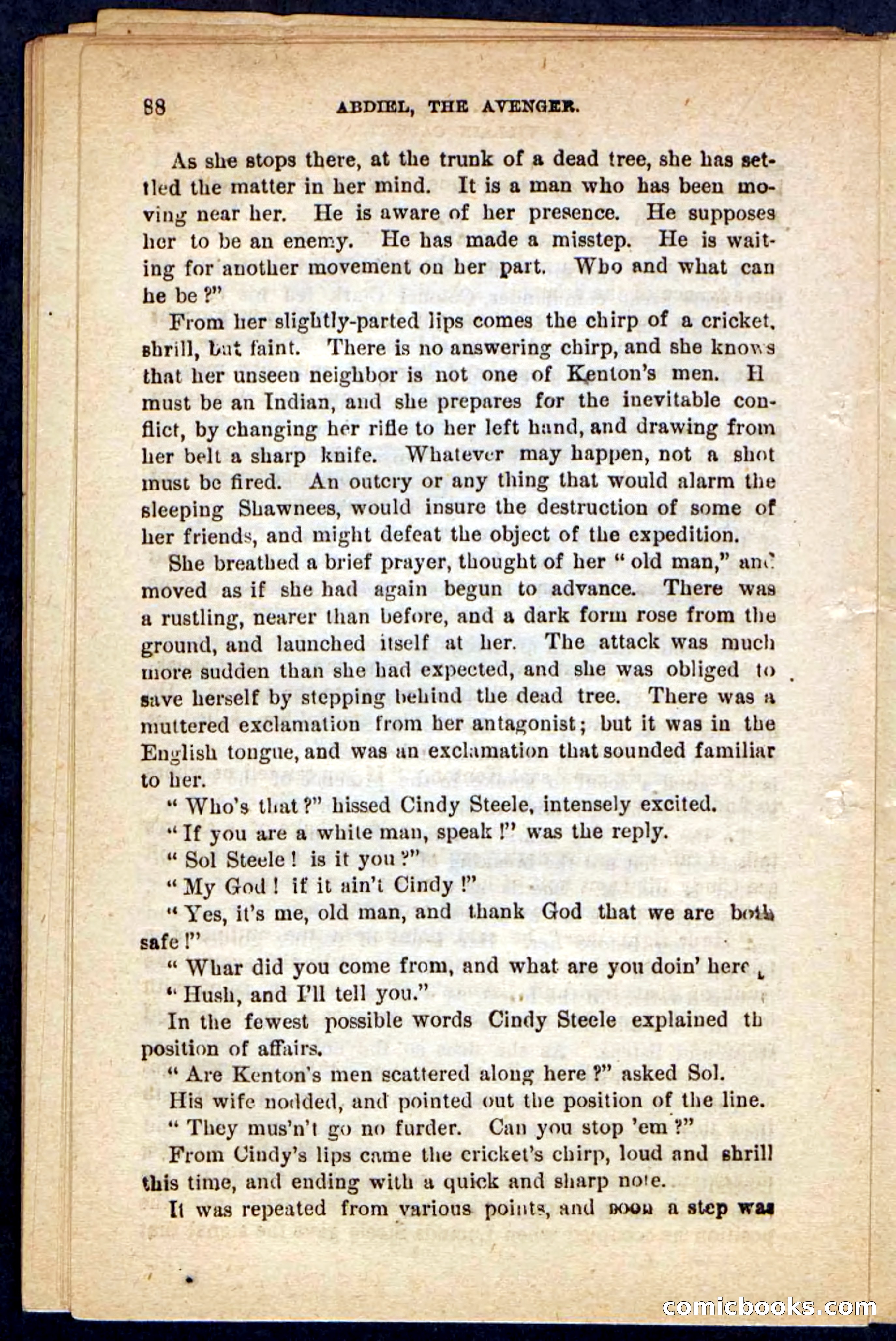 Beadle's Pocket Novels No. 117: Abdiel, the Avenger — page 84 of 100