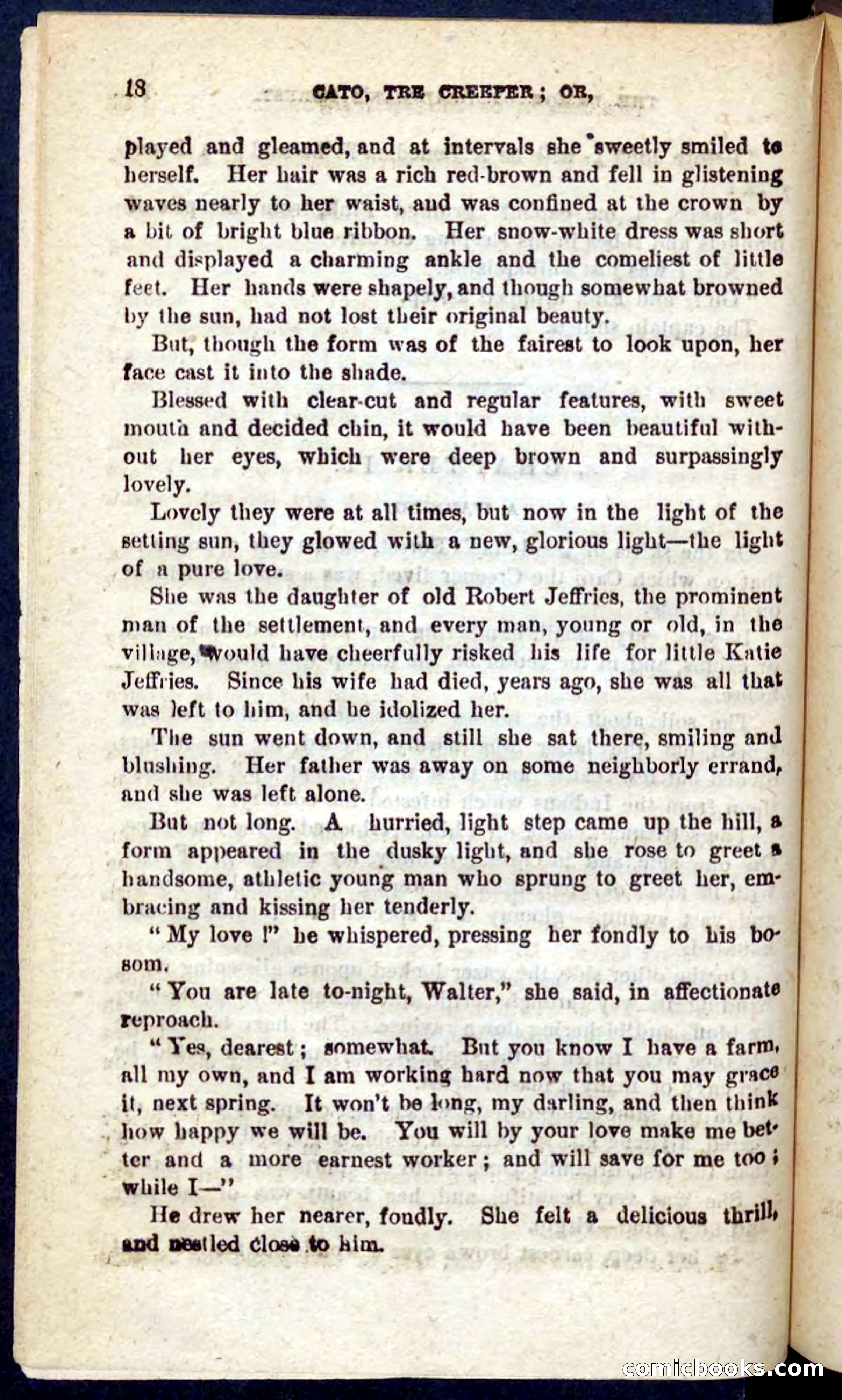Cato, the Creeper — page 14 of 100