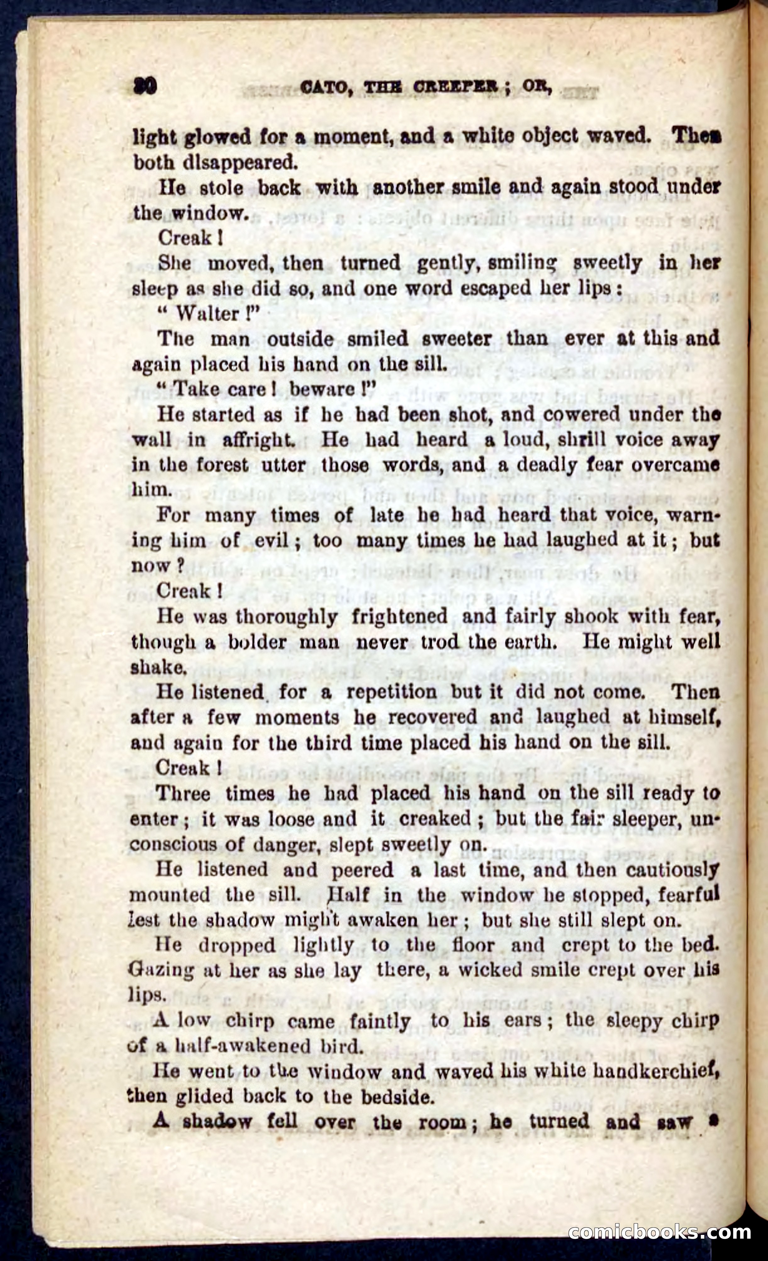 Cato, the Creeper — page 26 of 100