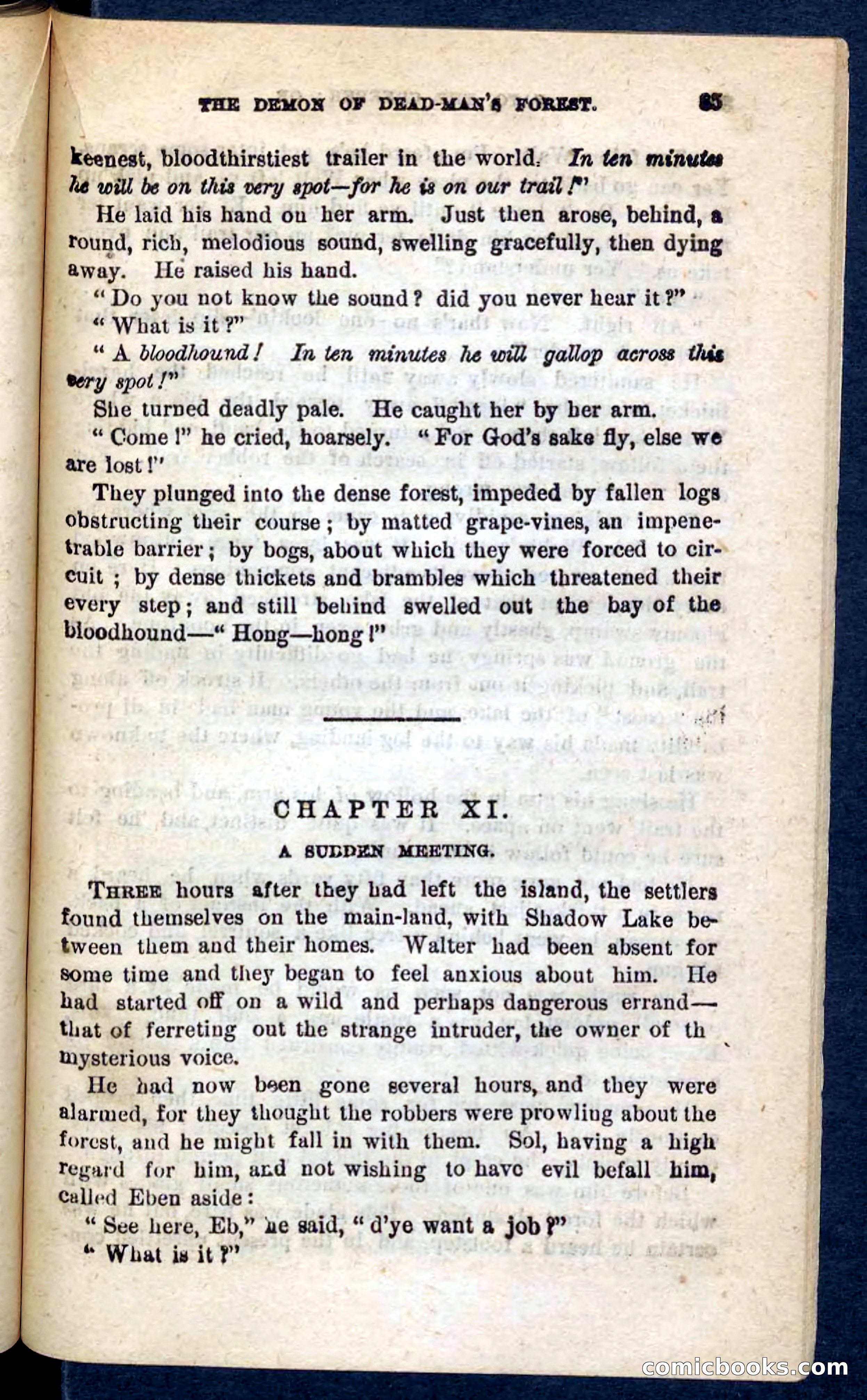 Cato, the Creeper — page 81 of 100