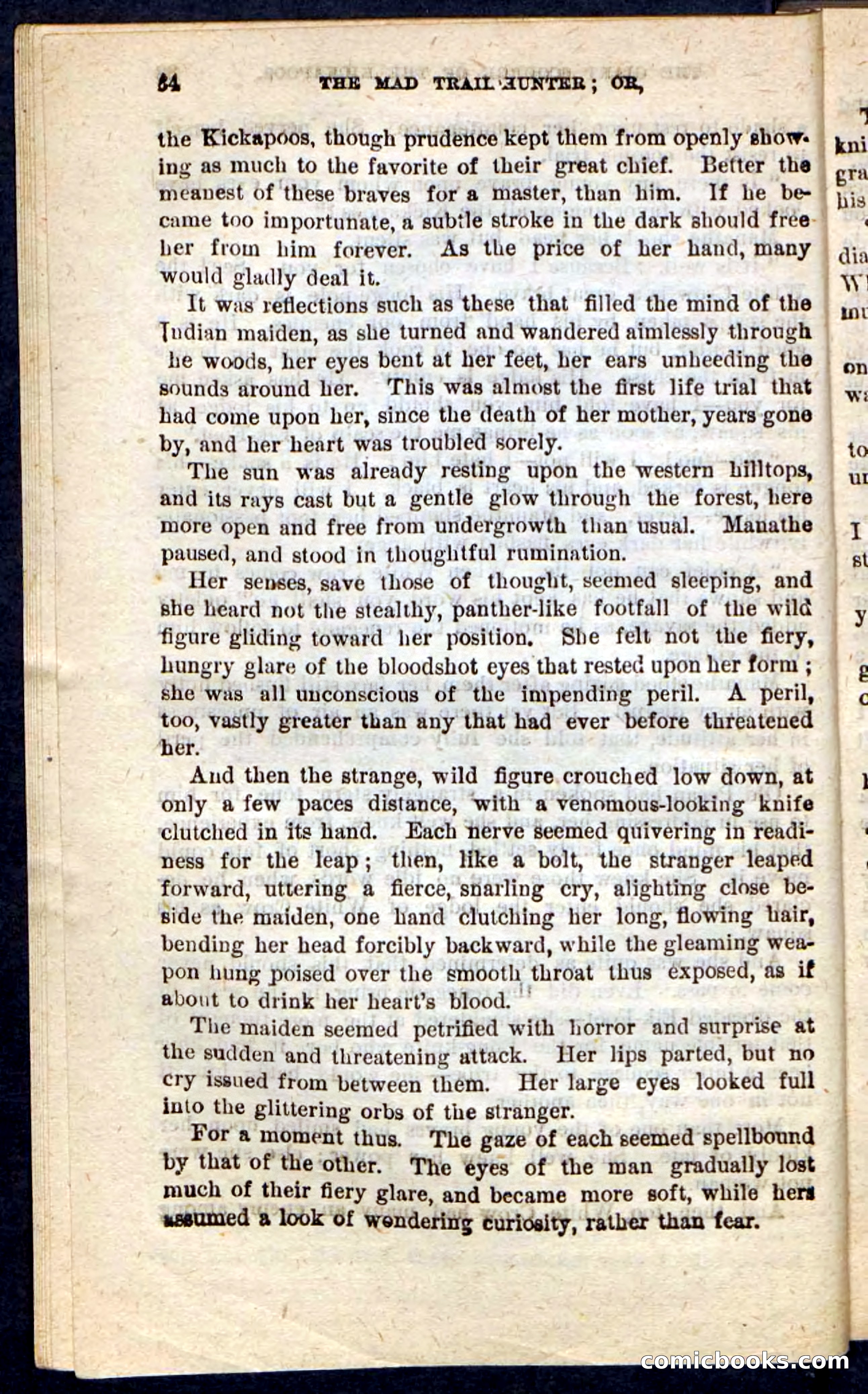 The Mad Hunter — page 30 of 100