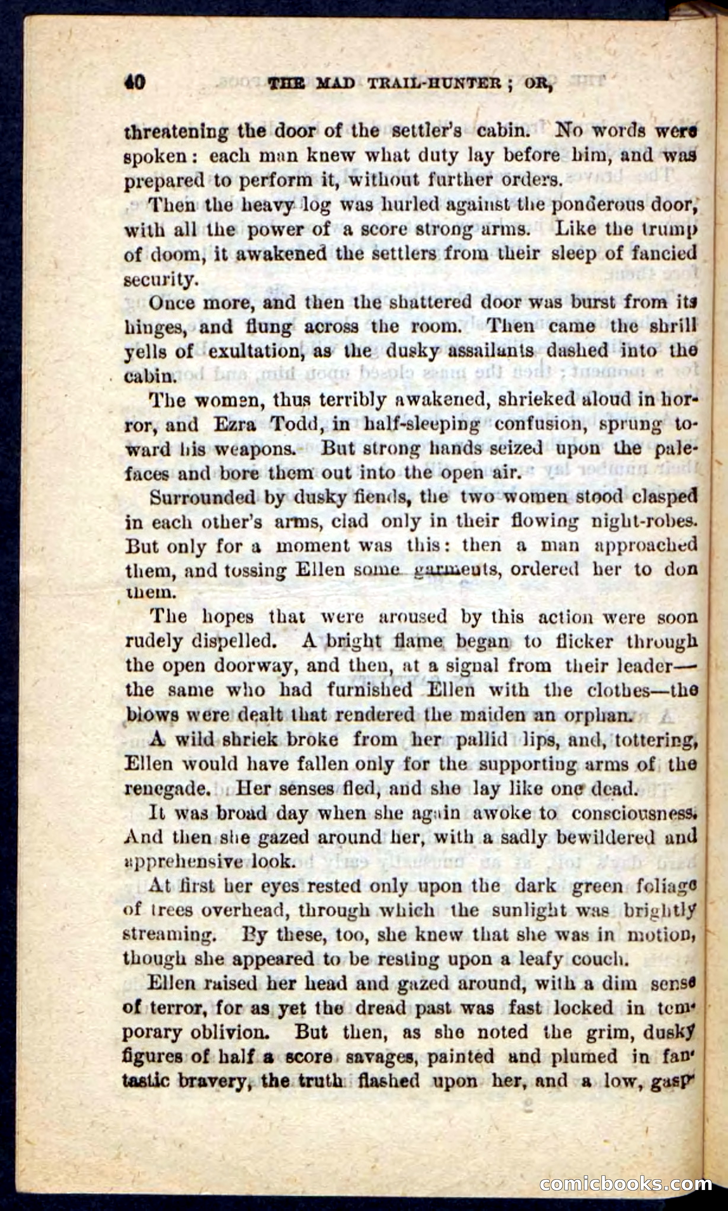 The Mad Hunter — page 36 of 100