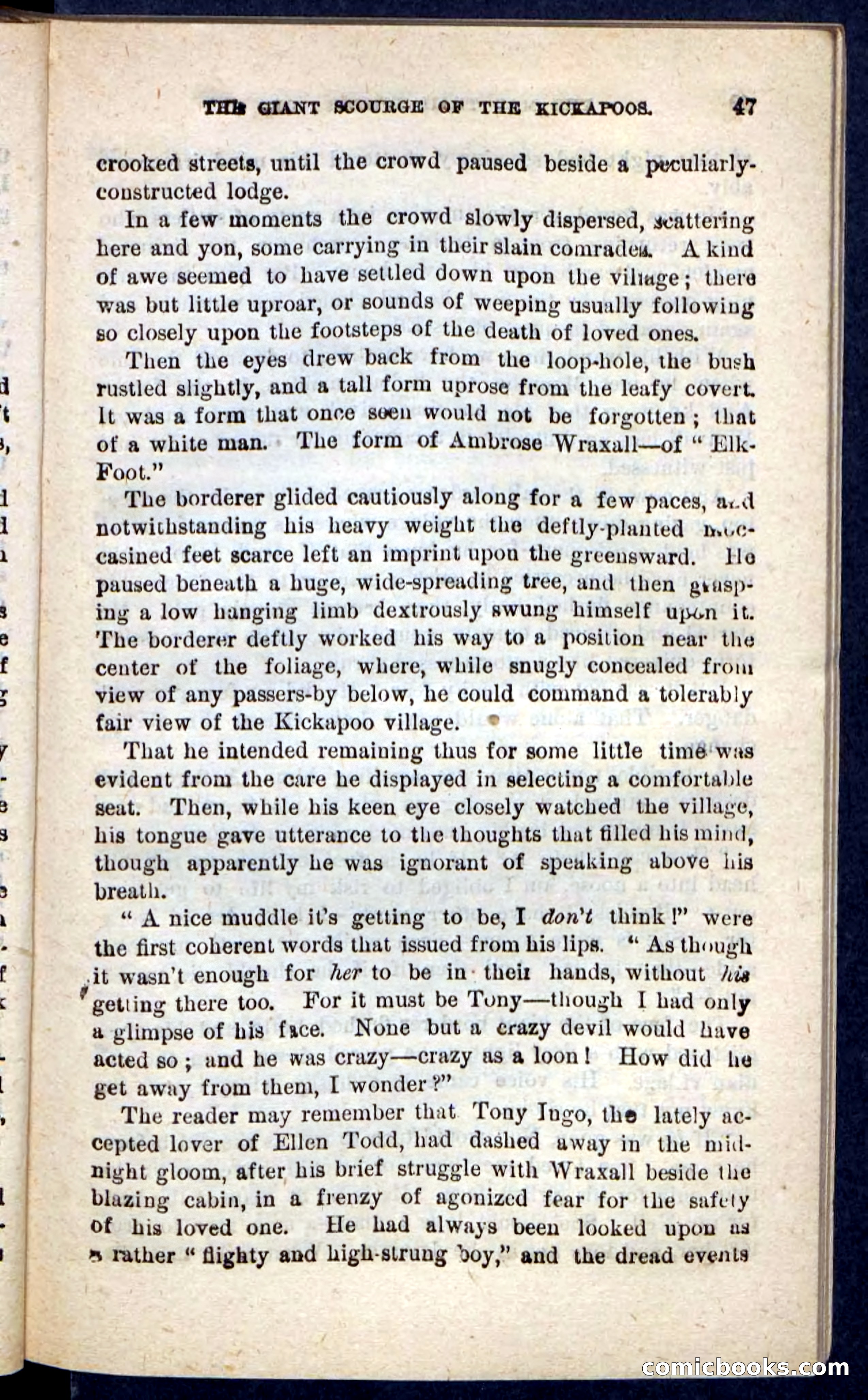 The Mad Hunter — page 43 of 100
