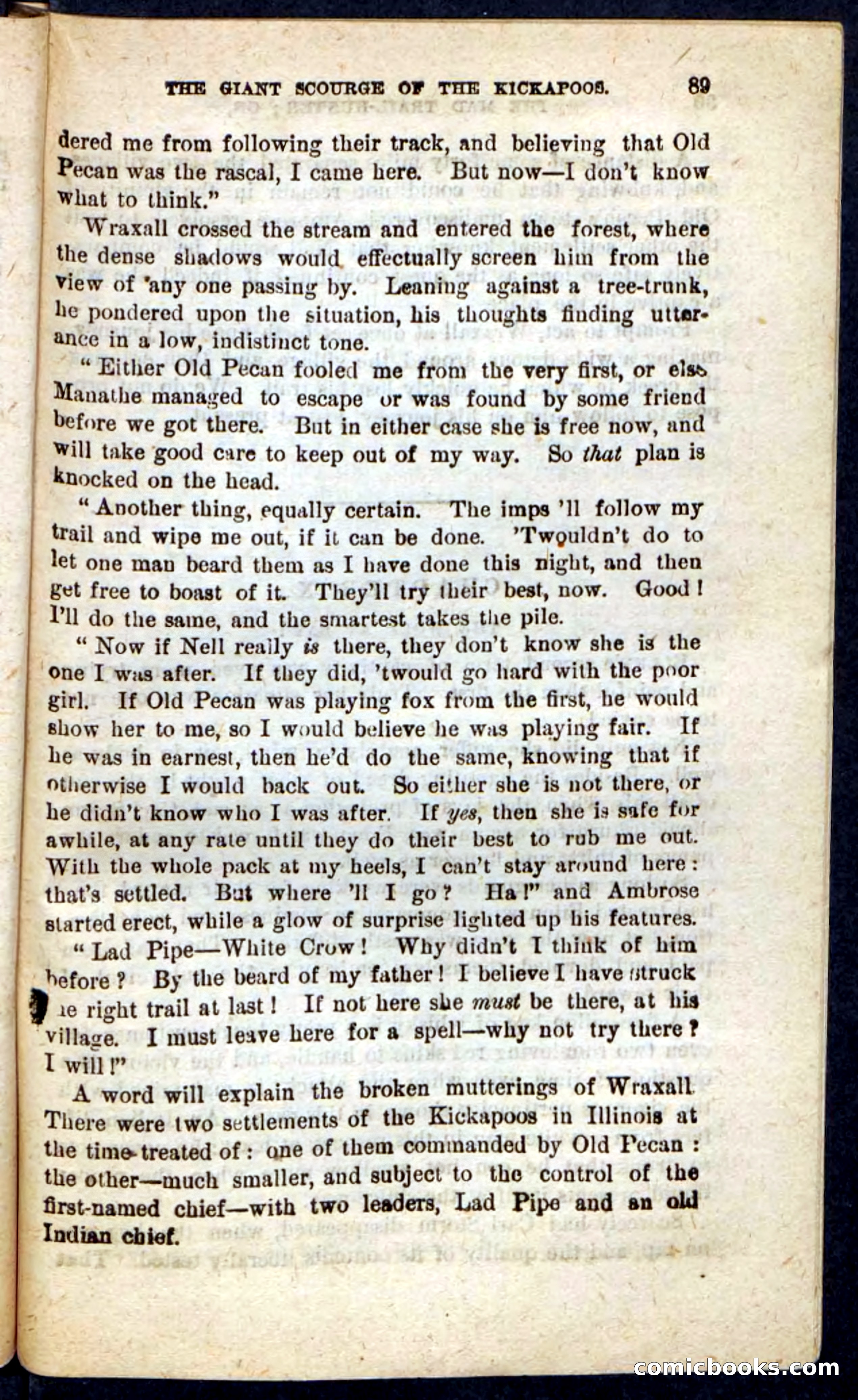 The Mad Hunter — page 85 of 100