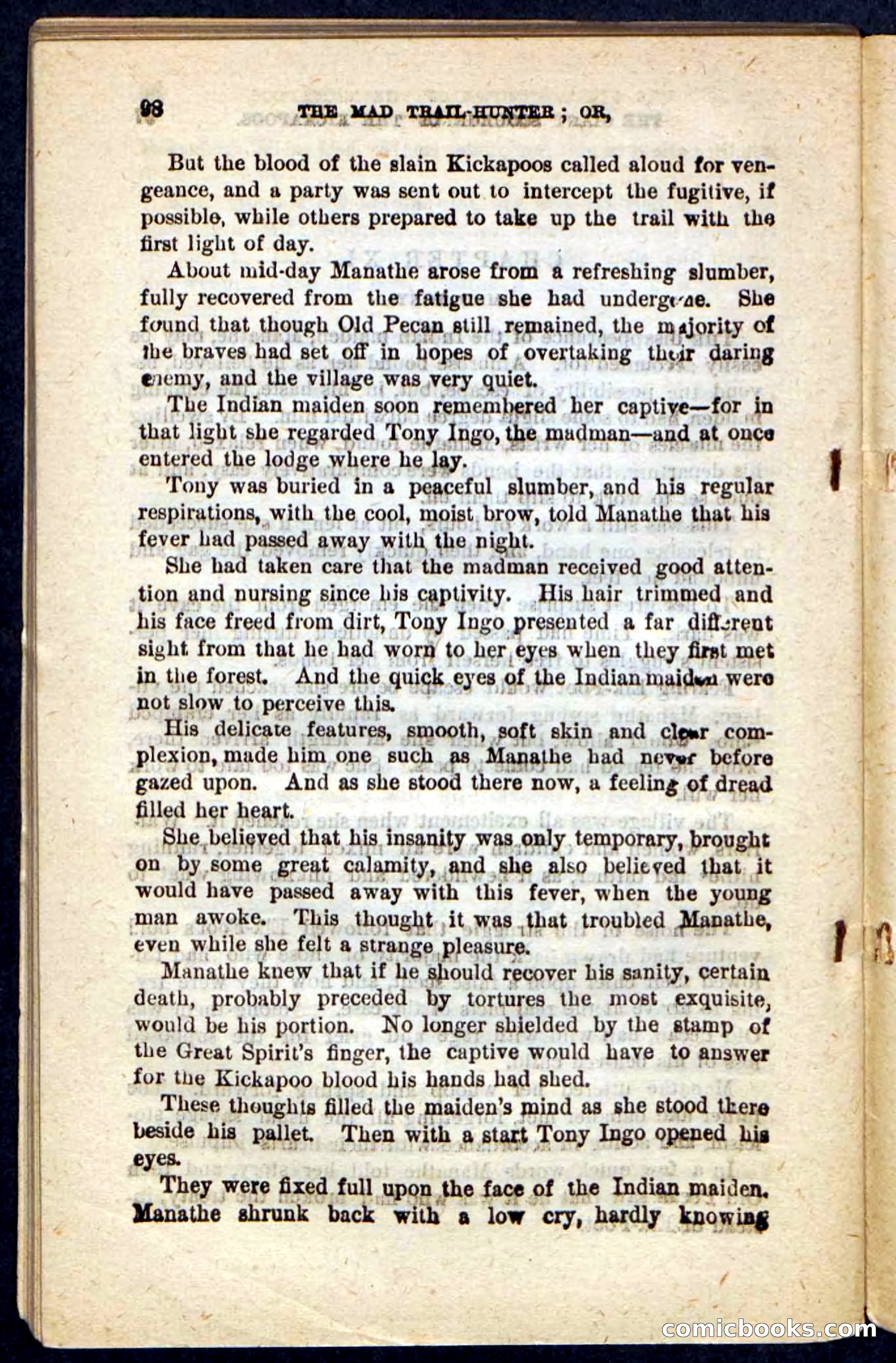 The Mad Hunter — page 94 of 100