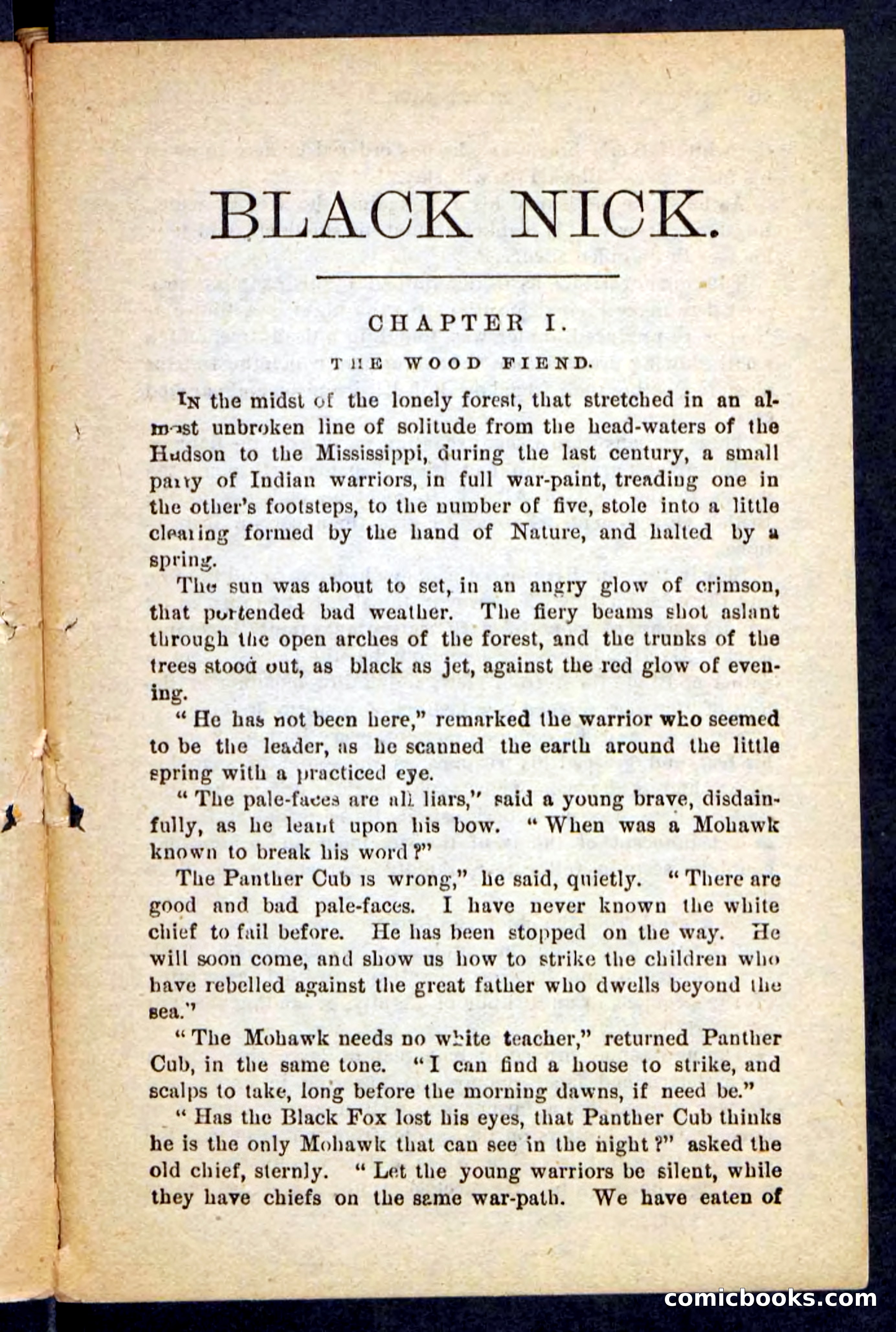 Beadle's Pocket Novels No. 121: Black Nick — page 5 of 100