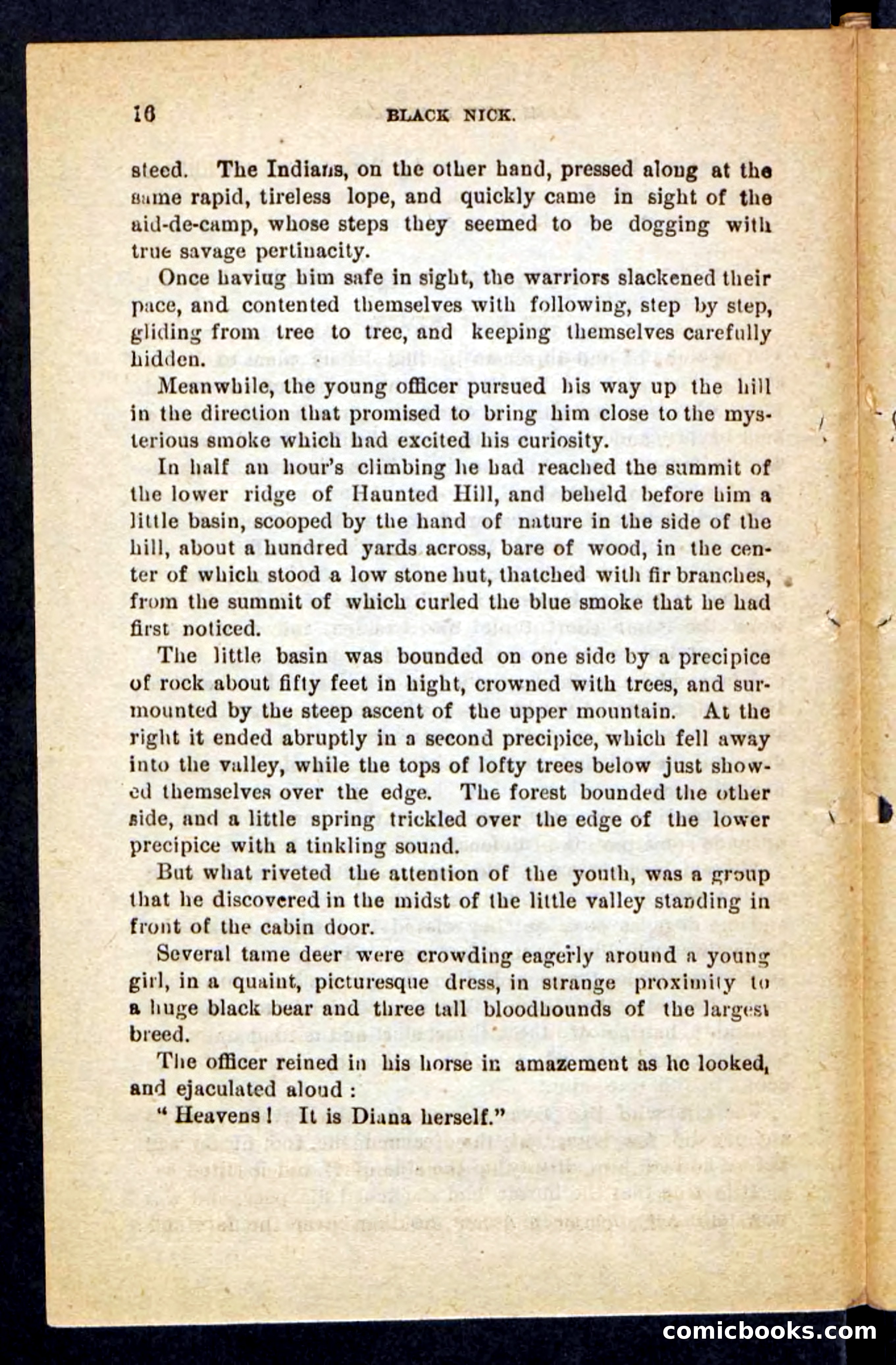 Beadle's Pocket Novels No. 121: Black Nick — page 12 of 100