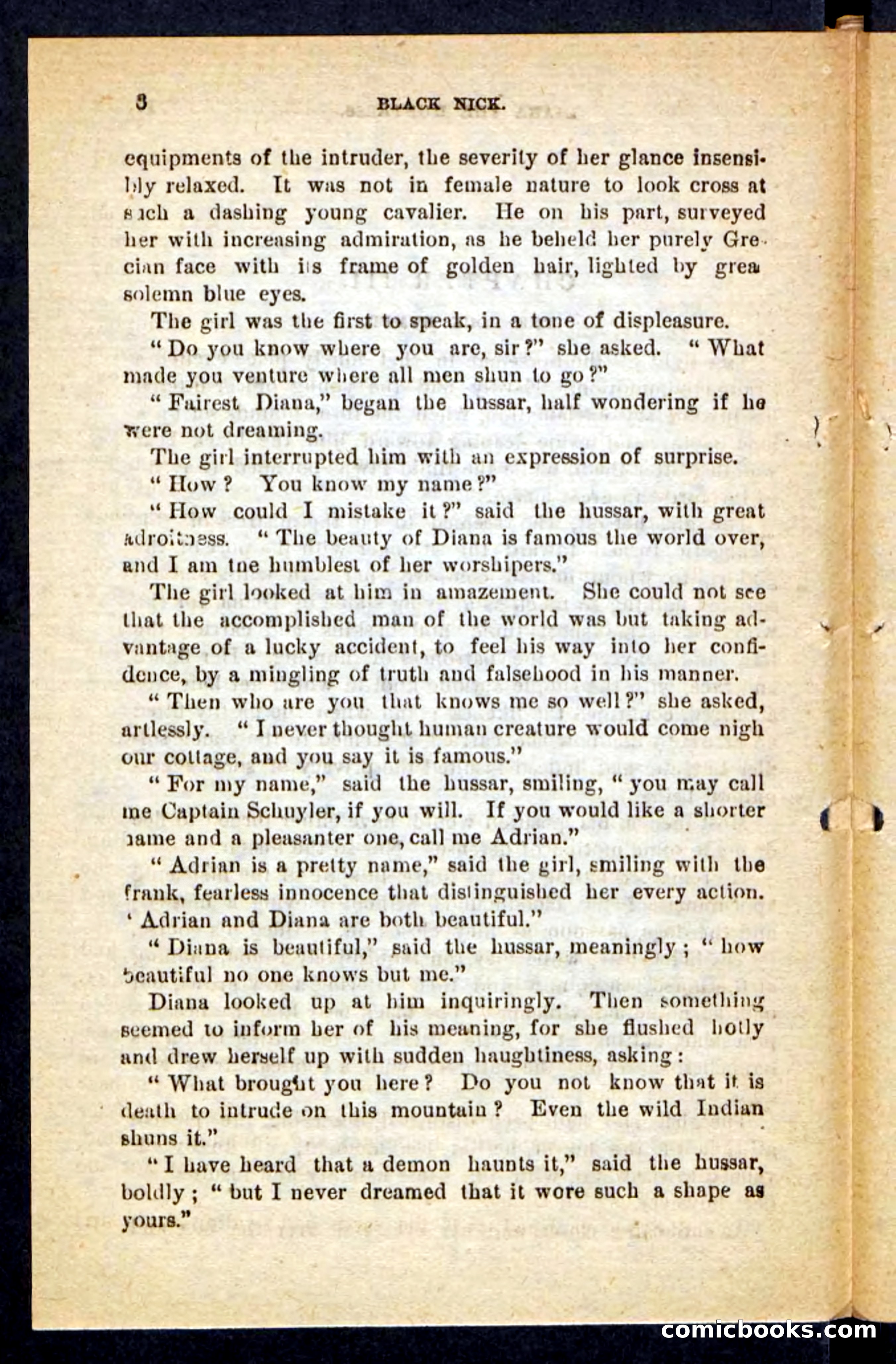 Beadle's Pocket Novels No. 121: Black Nick — page 14 of 100