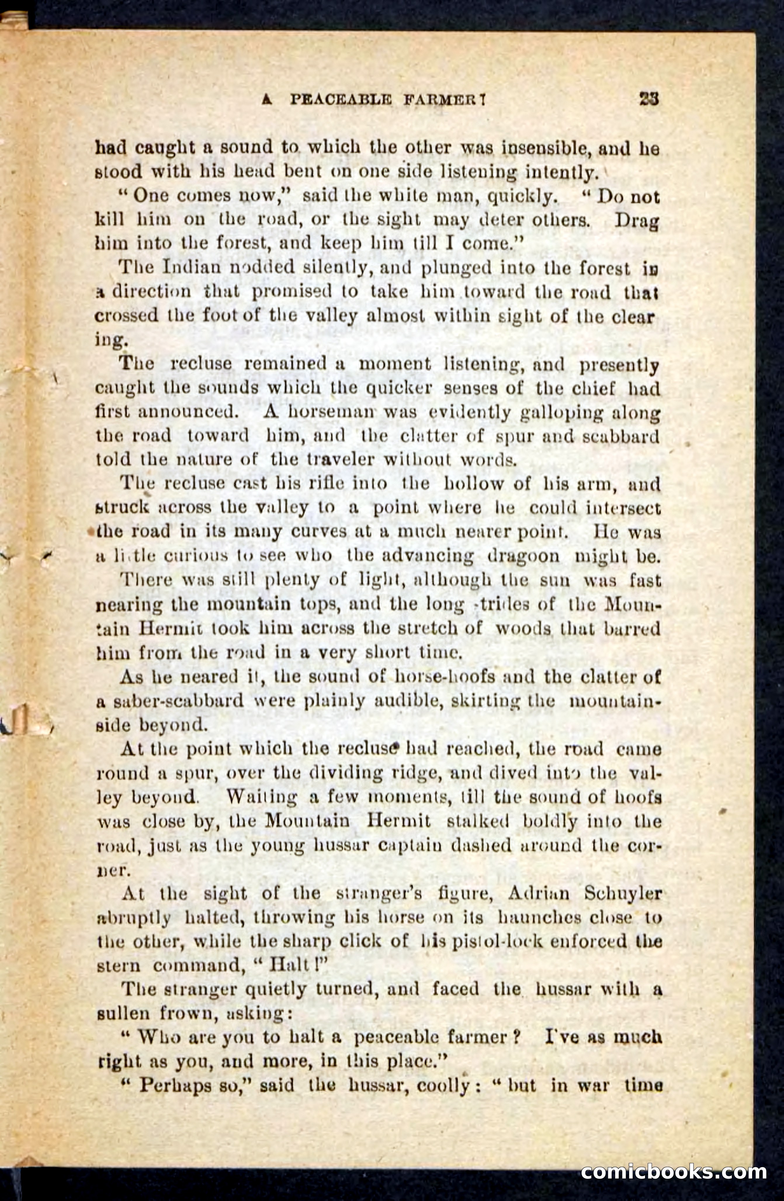 Beadle's Pocket Novels No. 121: Black Nick — page 19 of 100