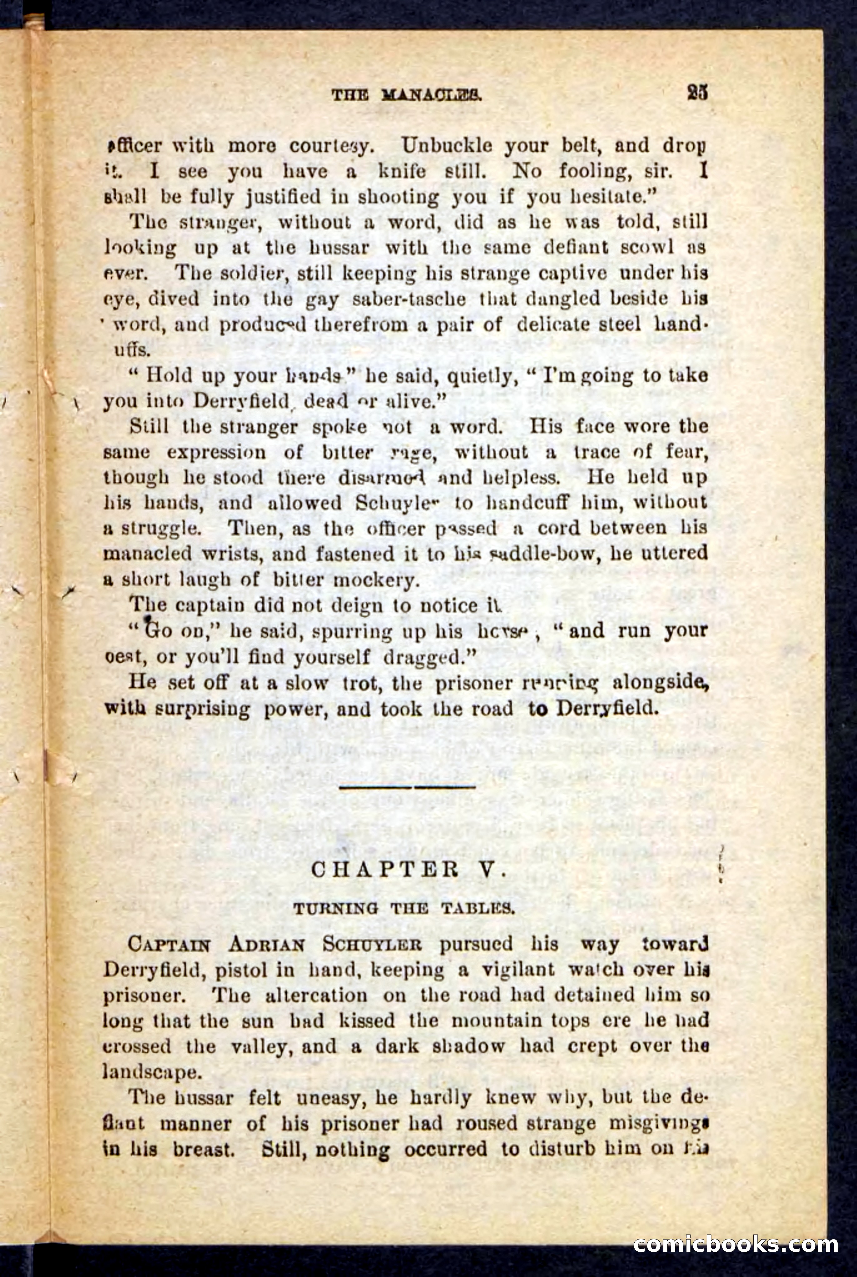Beadle's Pocket Novels No. 121: Black Nick — page 21 of 100