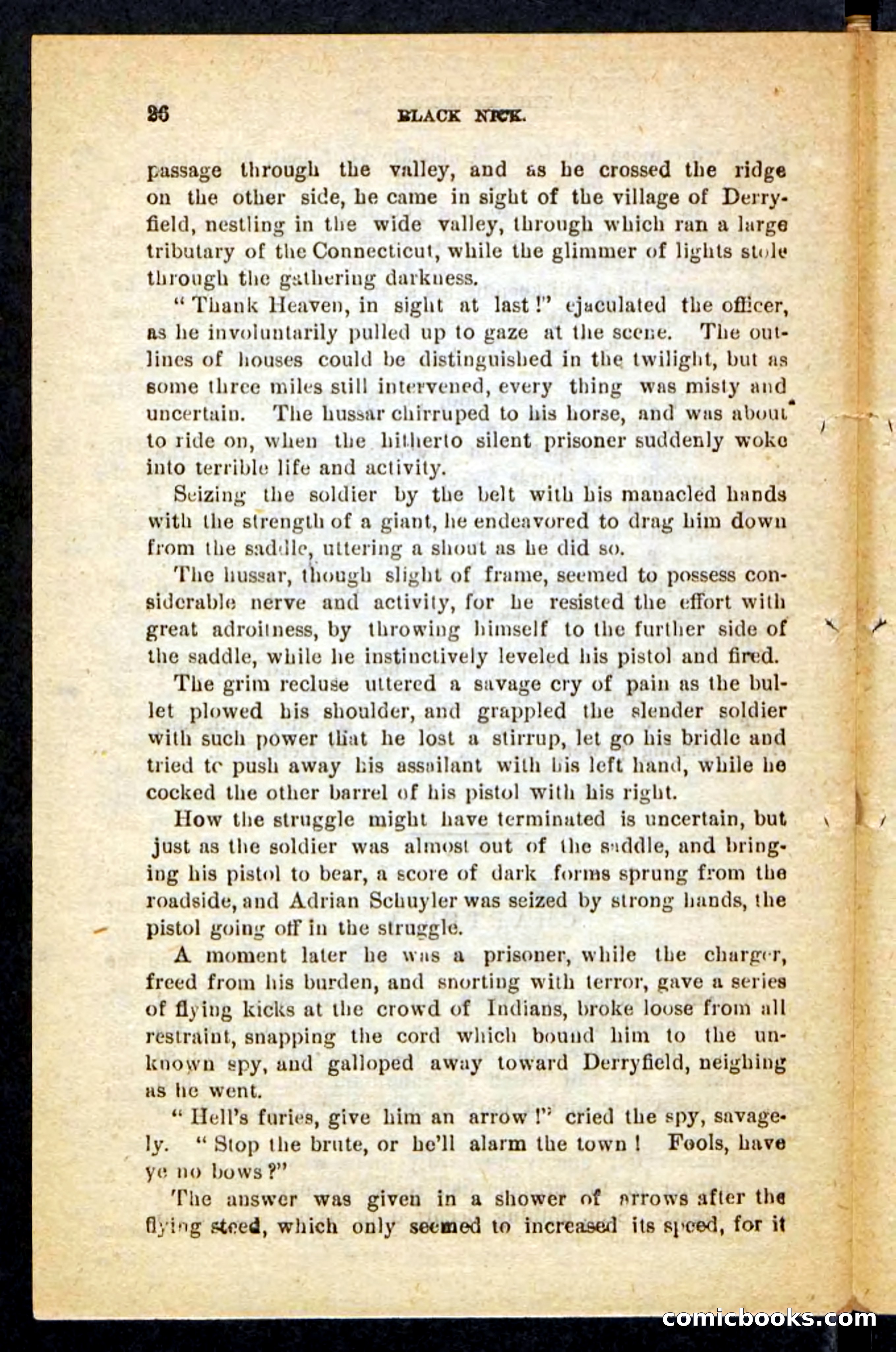 Beadle's Pocket Novels No. 121: Black Nick — page 22 of 100