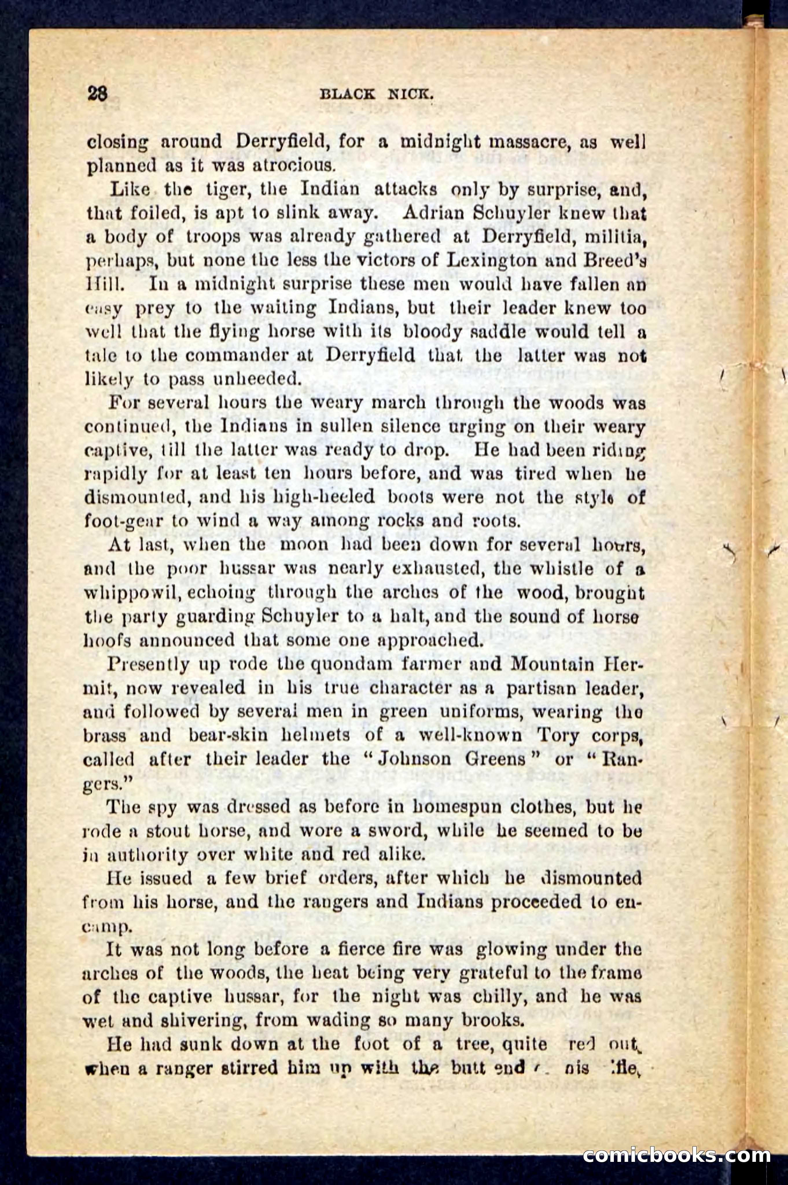 Beadle's Pocket Novels No. 121: Black Nick — page 24 of 100