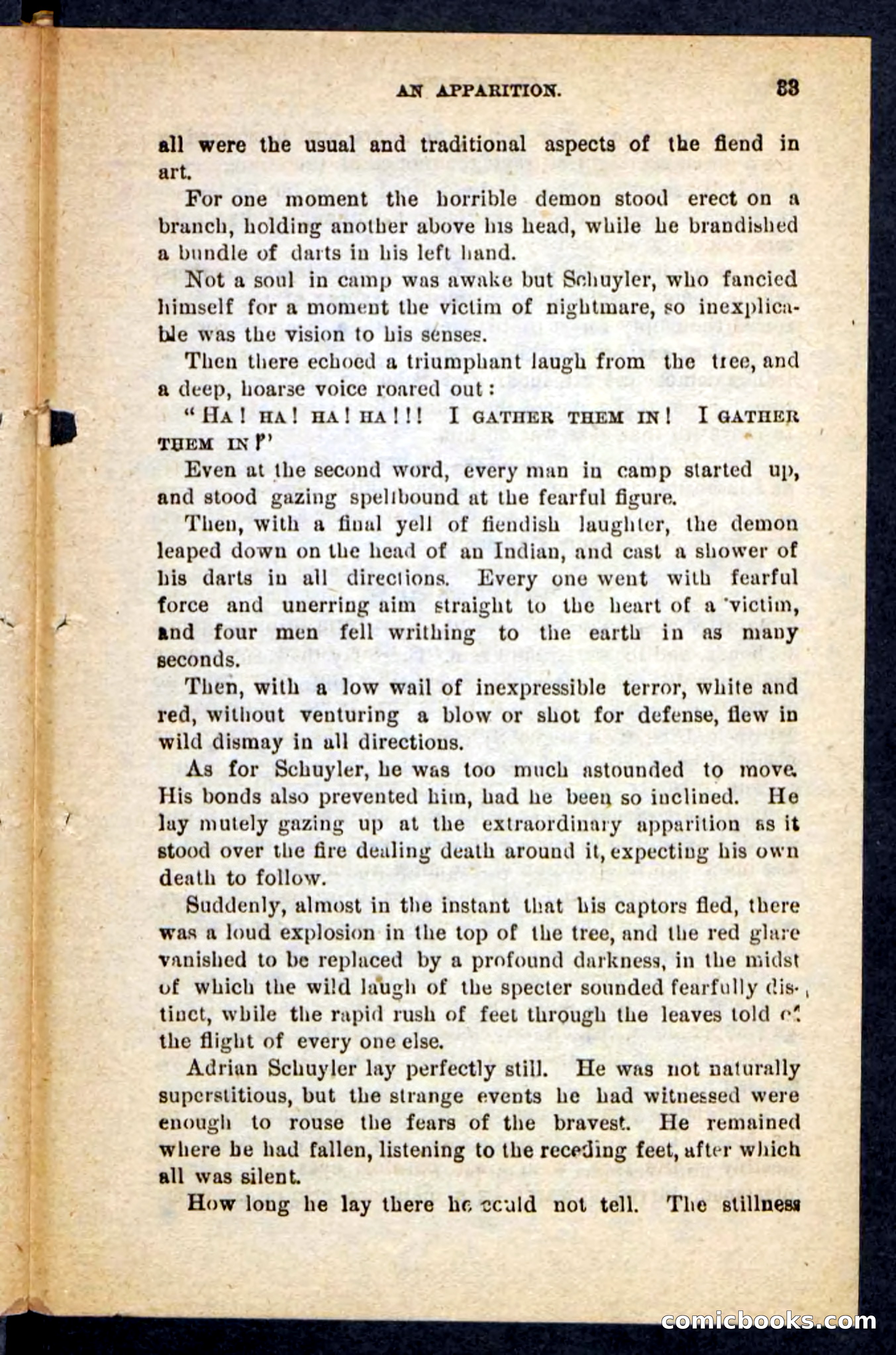 Beadle's Pocket Novels No. 121: Black Nick — page 29 of 100