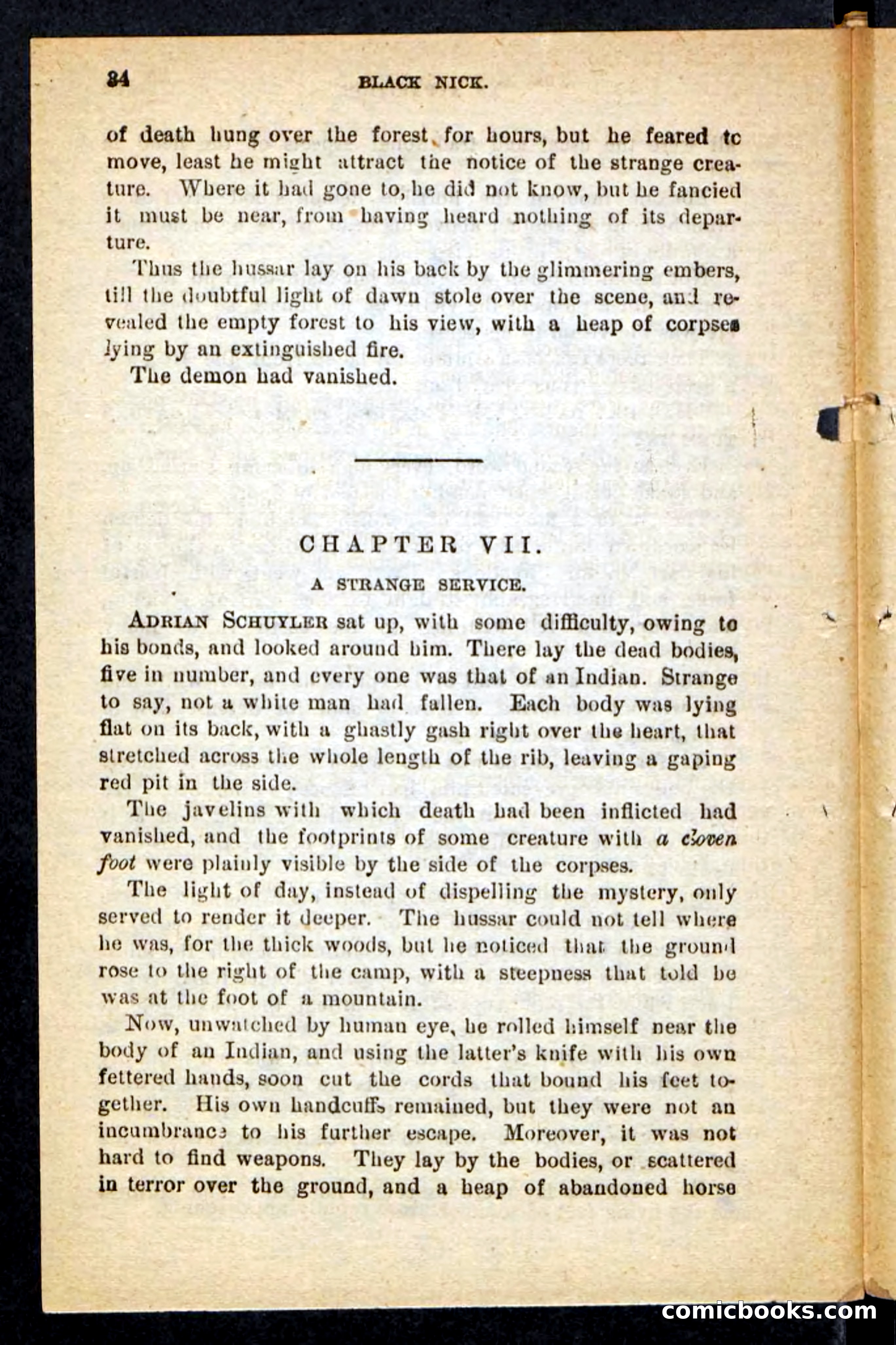 Beadle's Pocket Novels No. 121: Black Nick — page 30 of 100