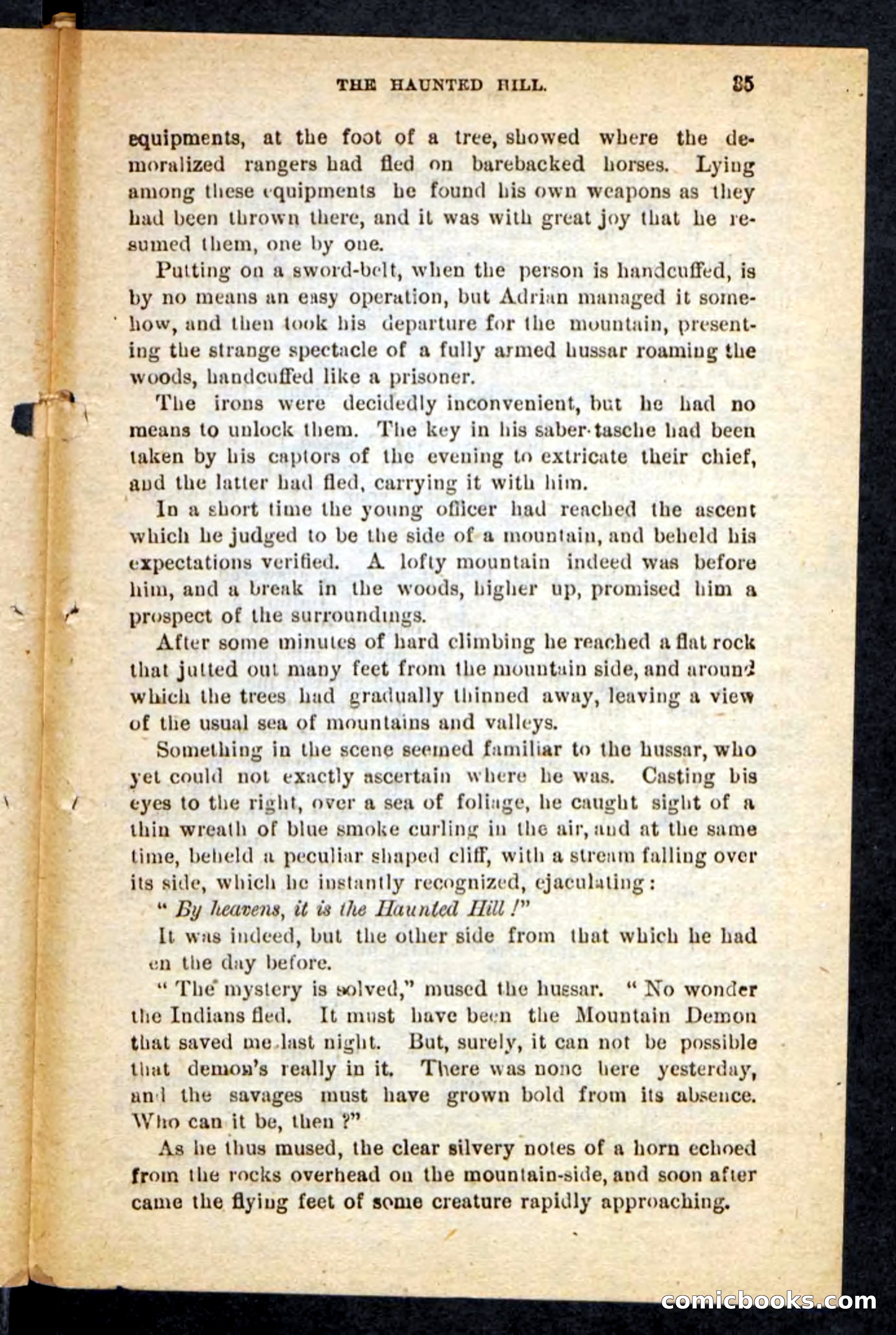 Beadle's Pocket Novels No. 121: Black Nick — page 31 of 100