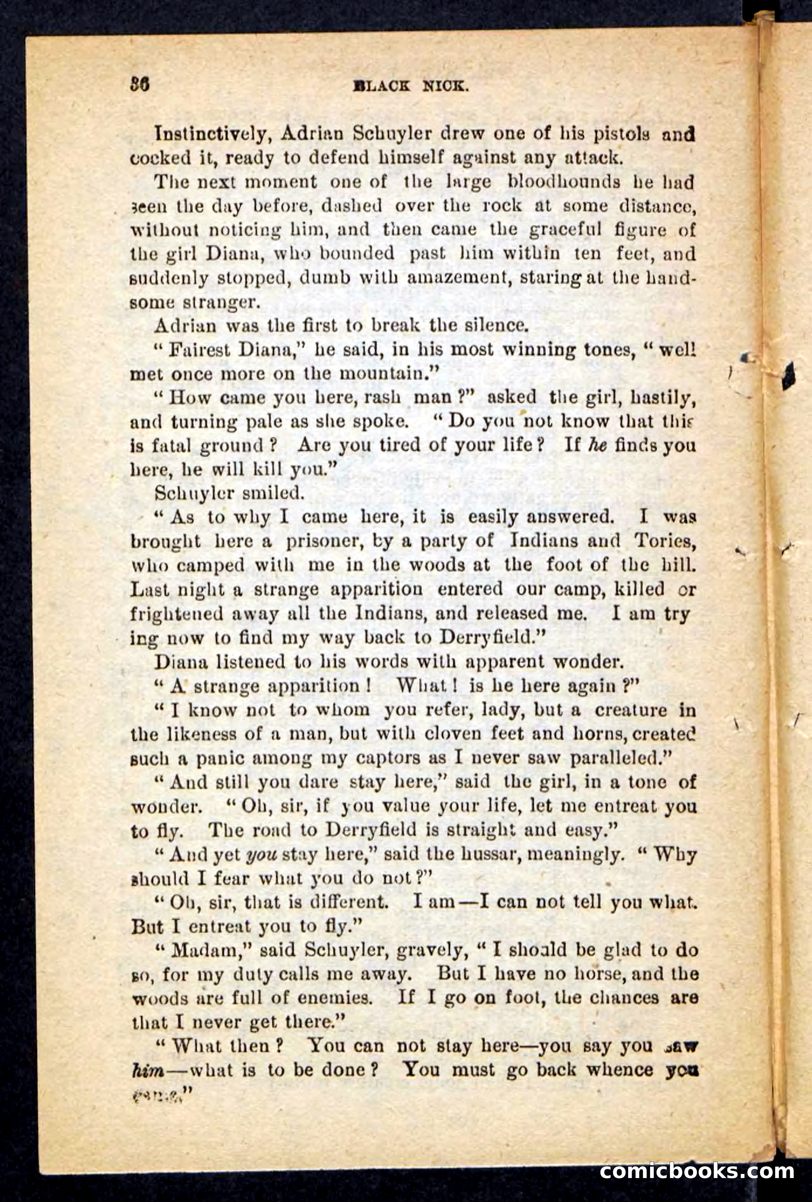 Beadle's Pocket Novels No. 121: Black Nick — page 32 of 100