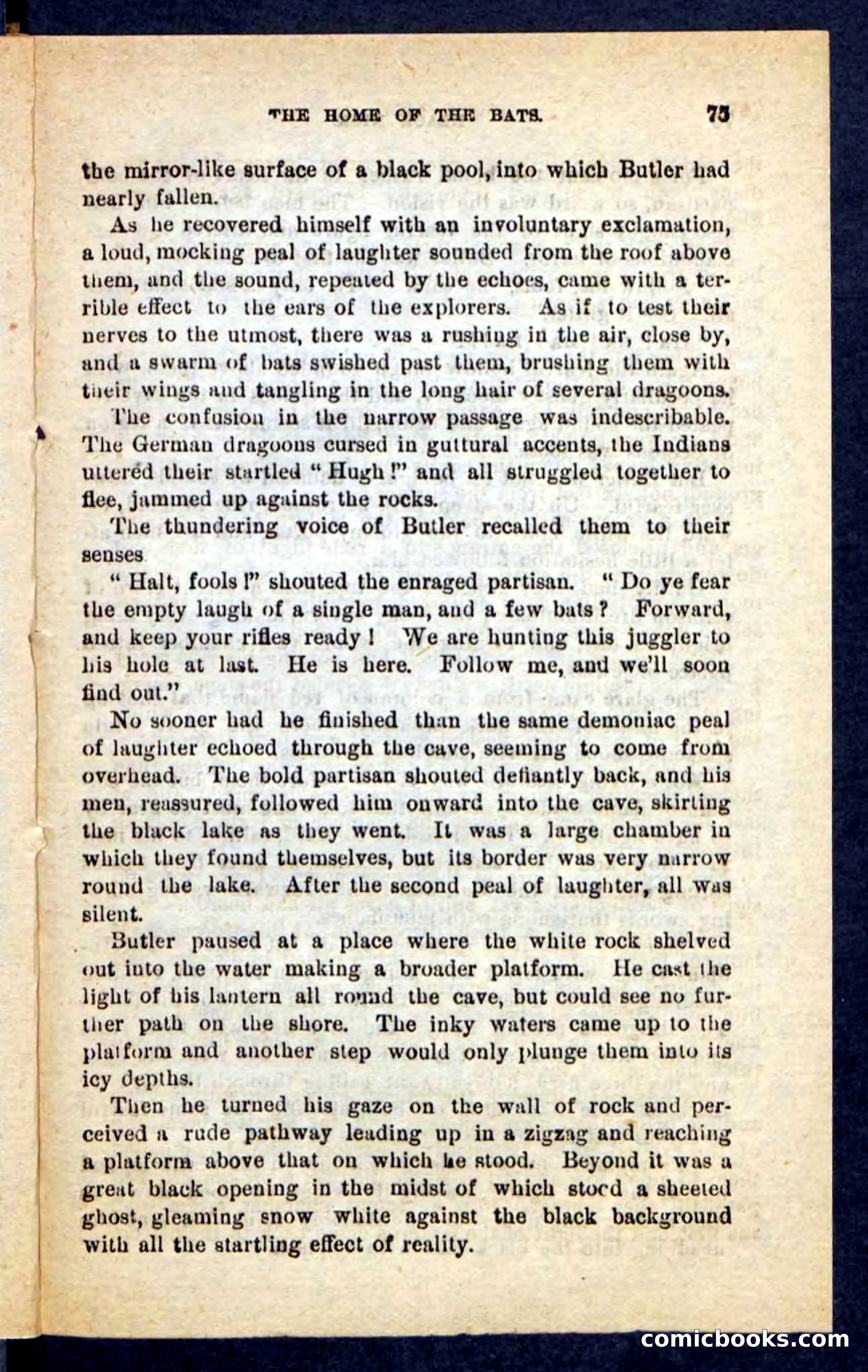Beadle's Pocket Novels No. 121: Black Nick — page 71 of 100