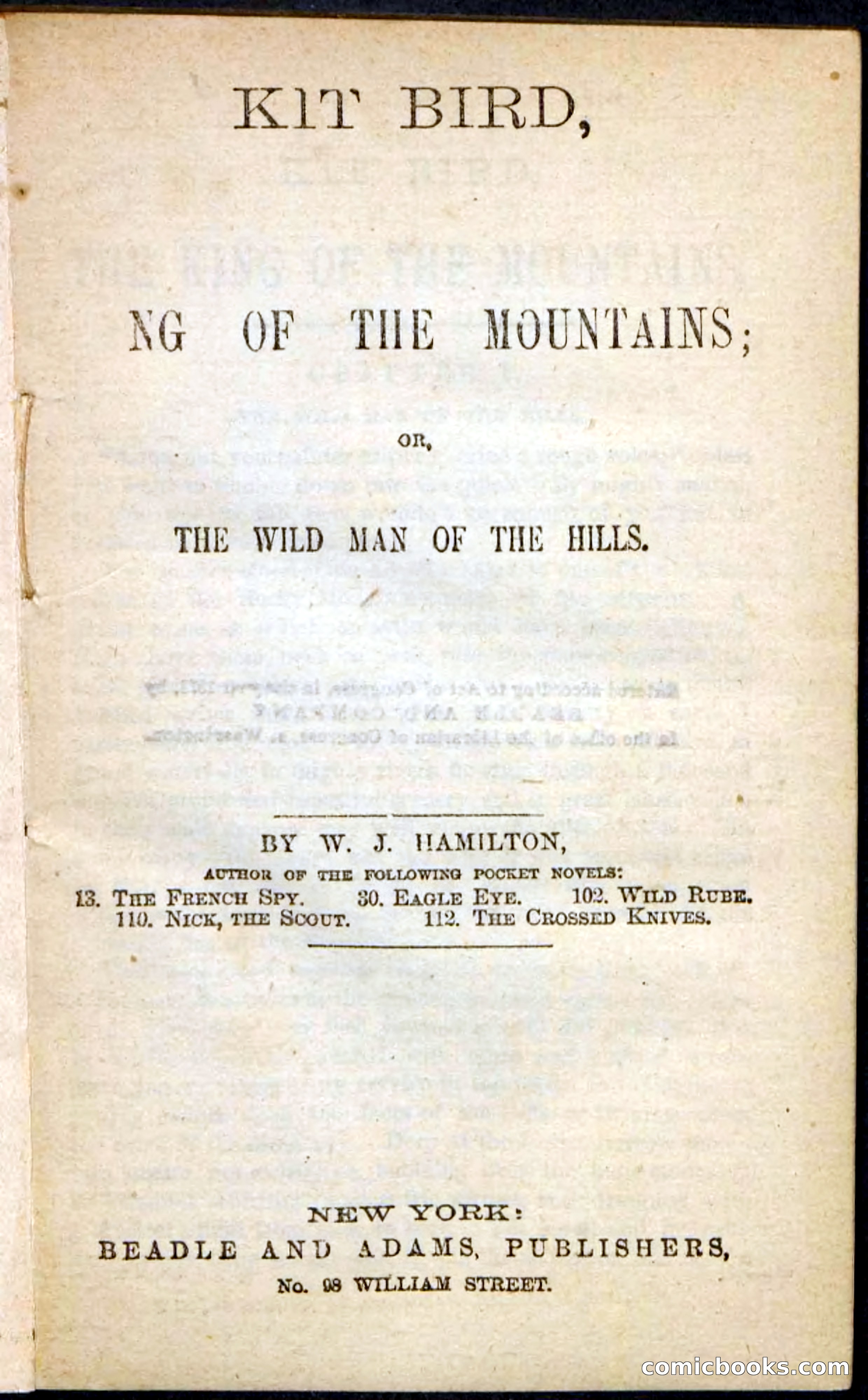 Kit Bird, Beadle's Pocket Novels No. 122 — page 3 of 100