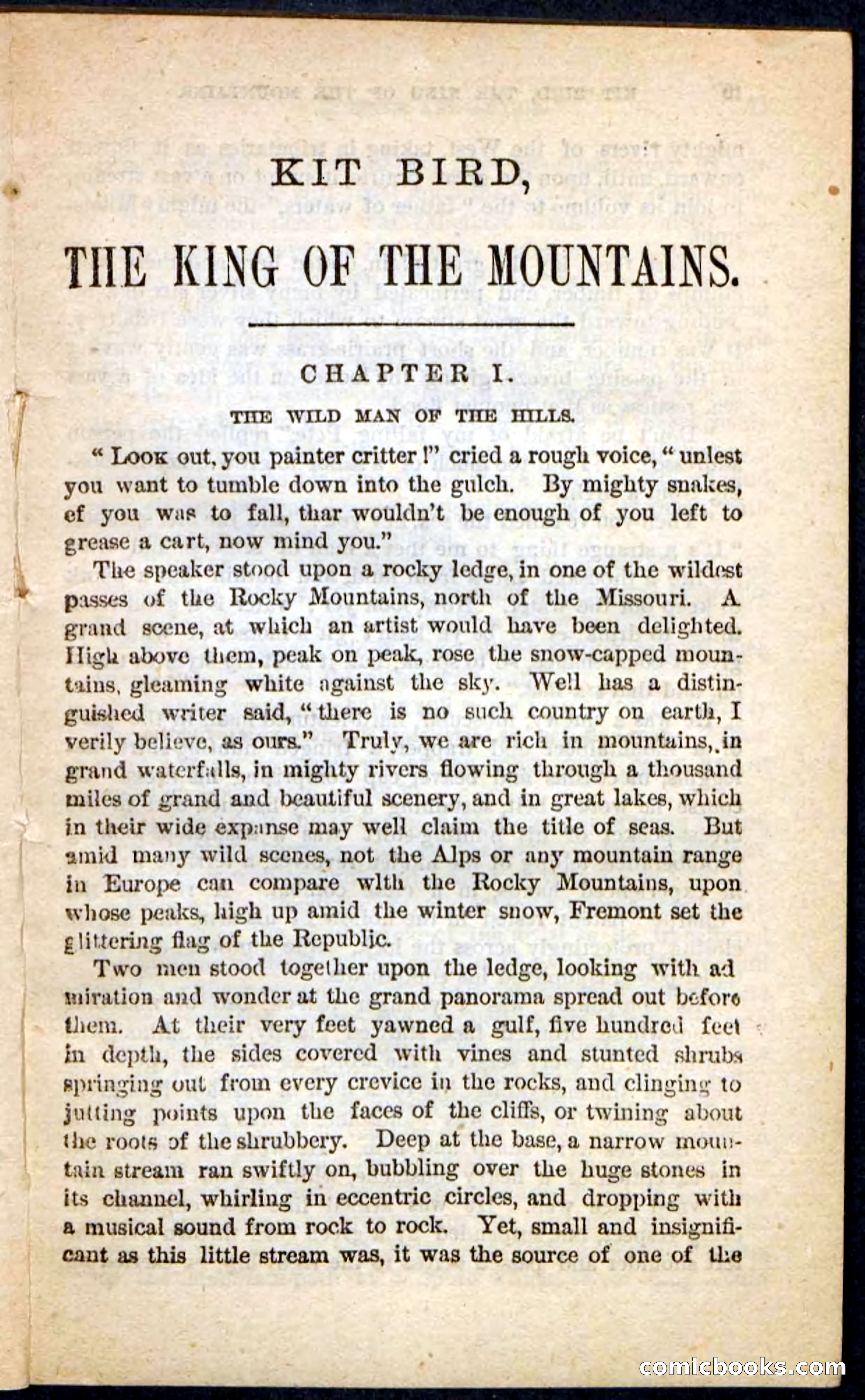 Kit Bird, Beadle's Pocket Novels No. 122 — page 5 of 100