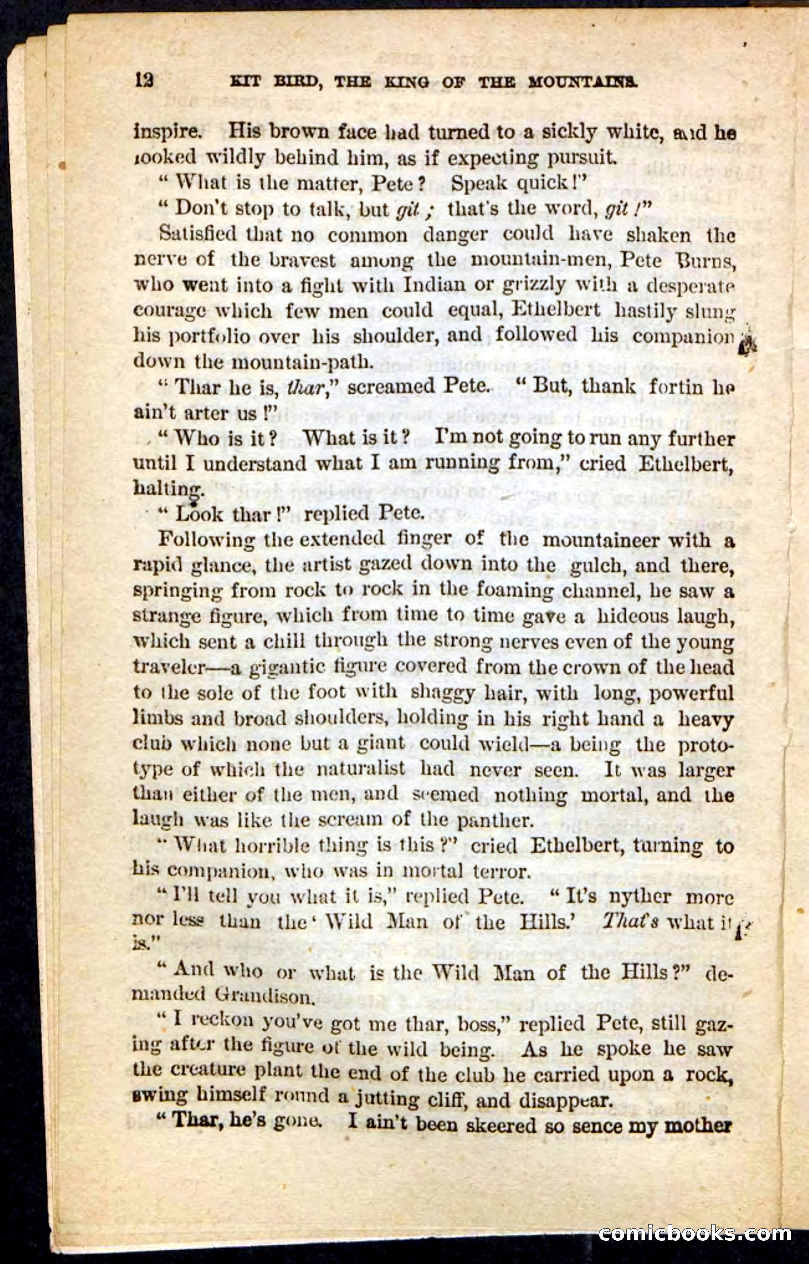 Kit Bird, Beadle's Pocket Novels No. 122 — page 8 of 100