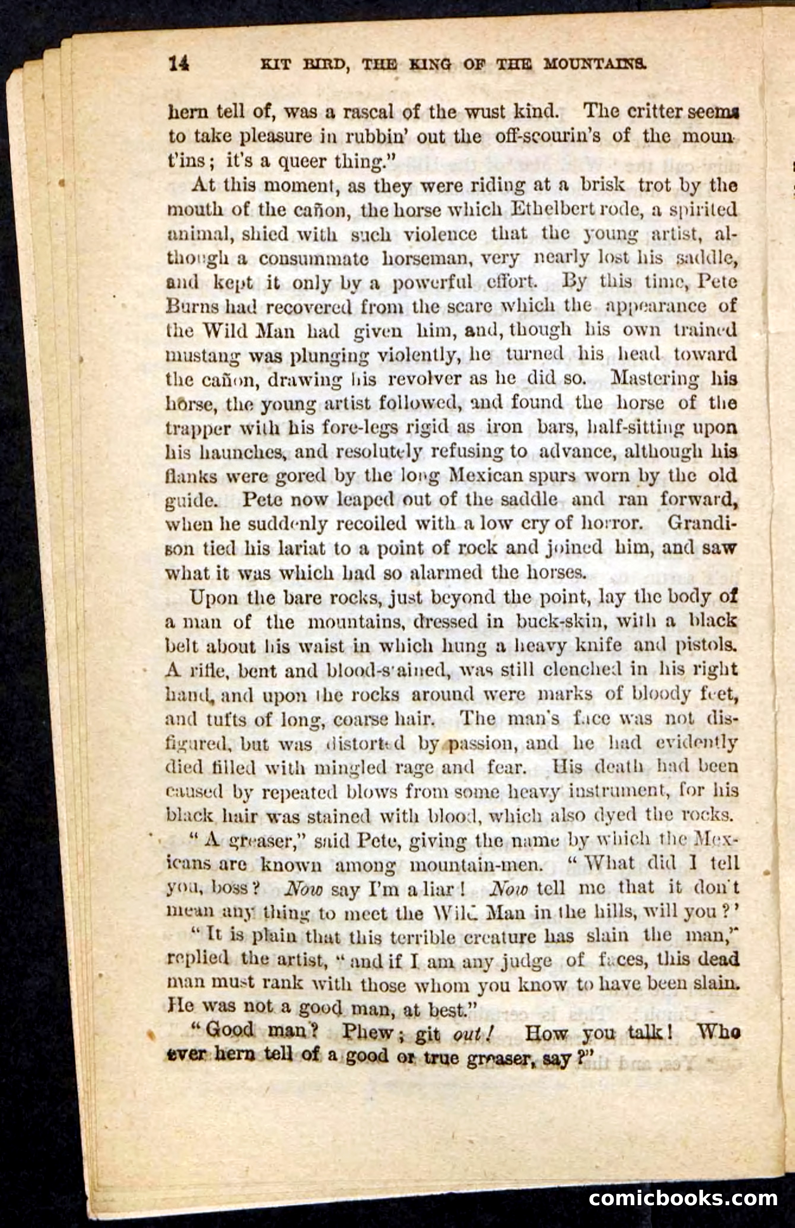 Kit Bird, Beadle's Pocket Novels No. 122 — page 10 of 100