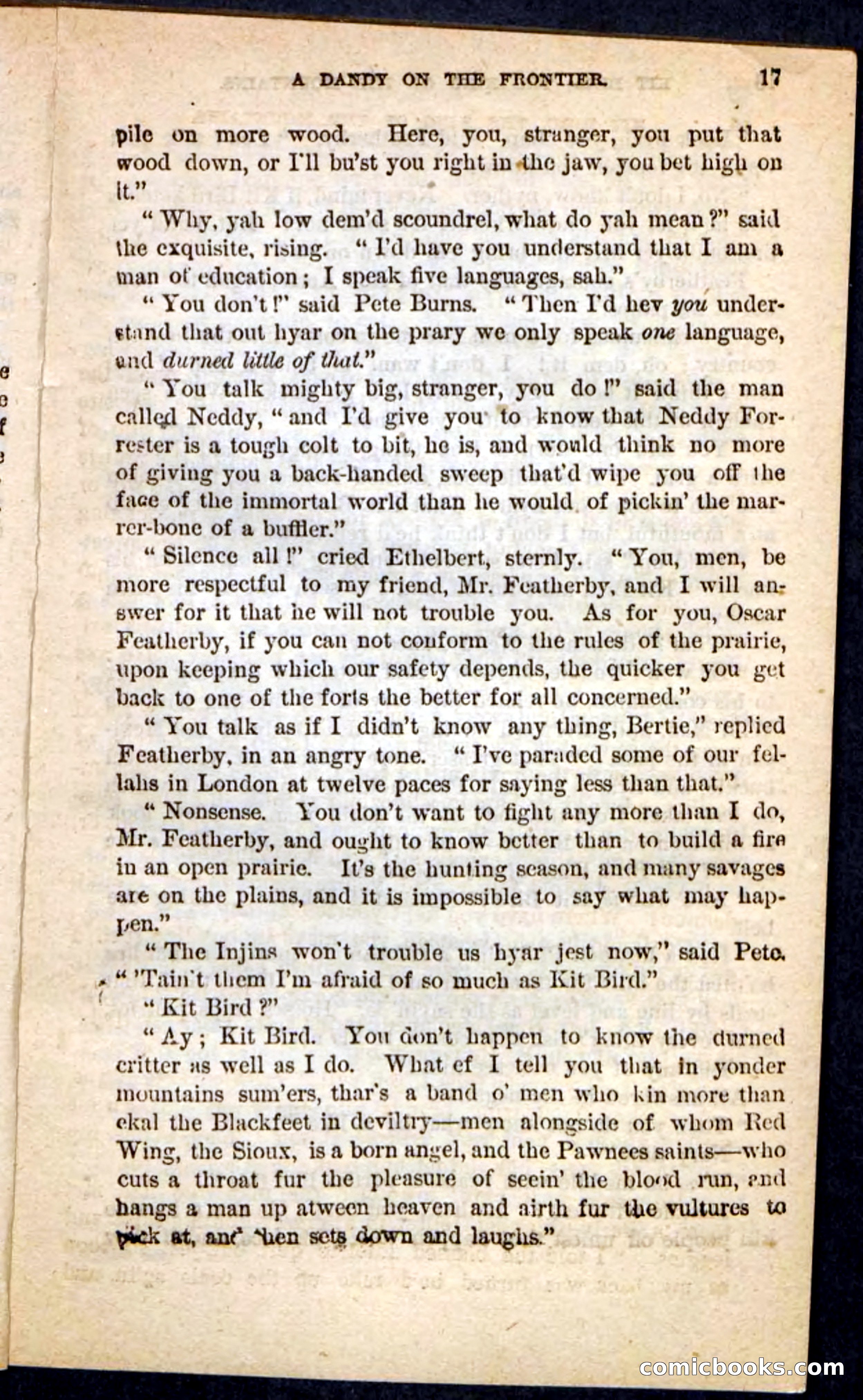 Kit Bird, Beadle's Pocket Novels No. 122 — page 13 of 100