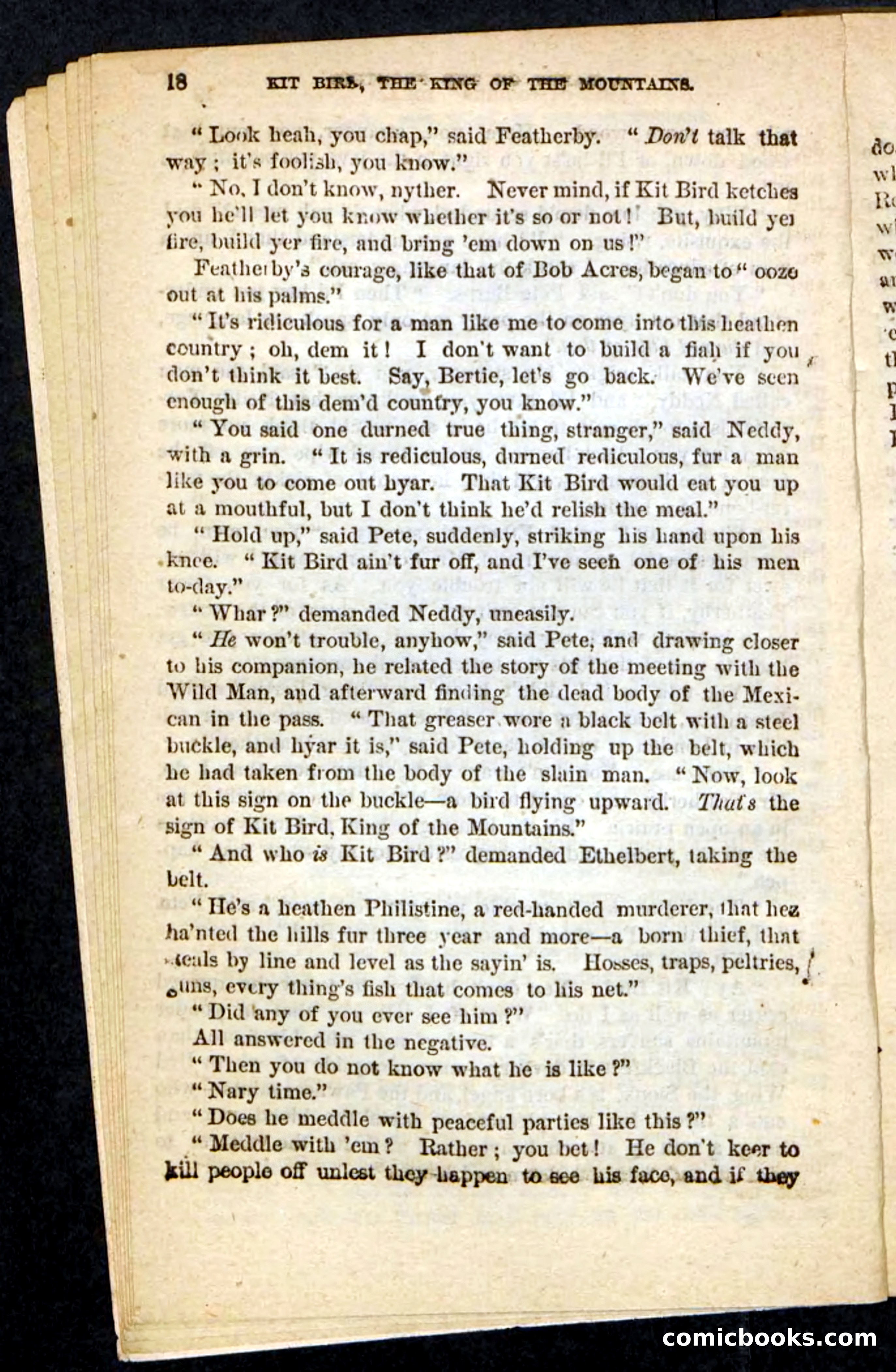 Kit Bird, Beadle's Pocket Novels No. 122 — page 14 of 100