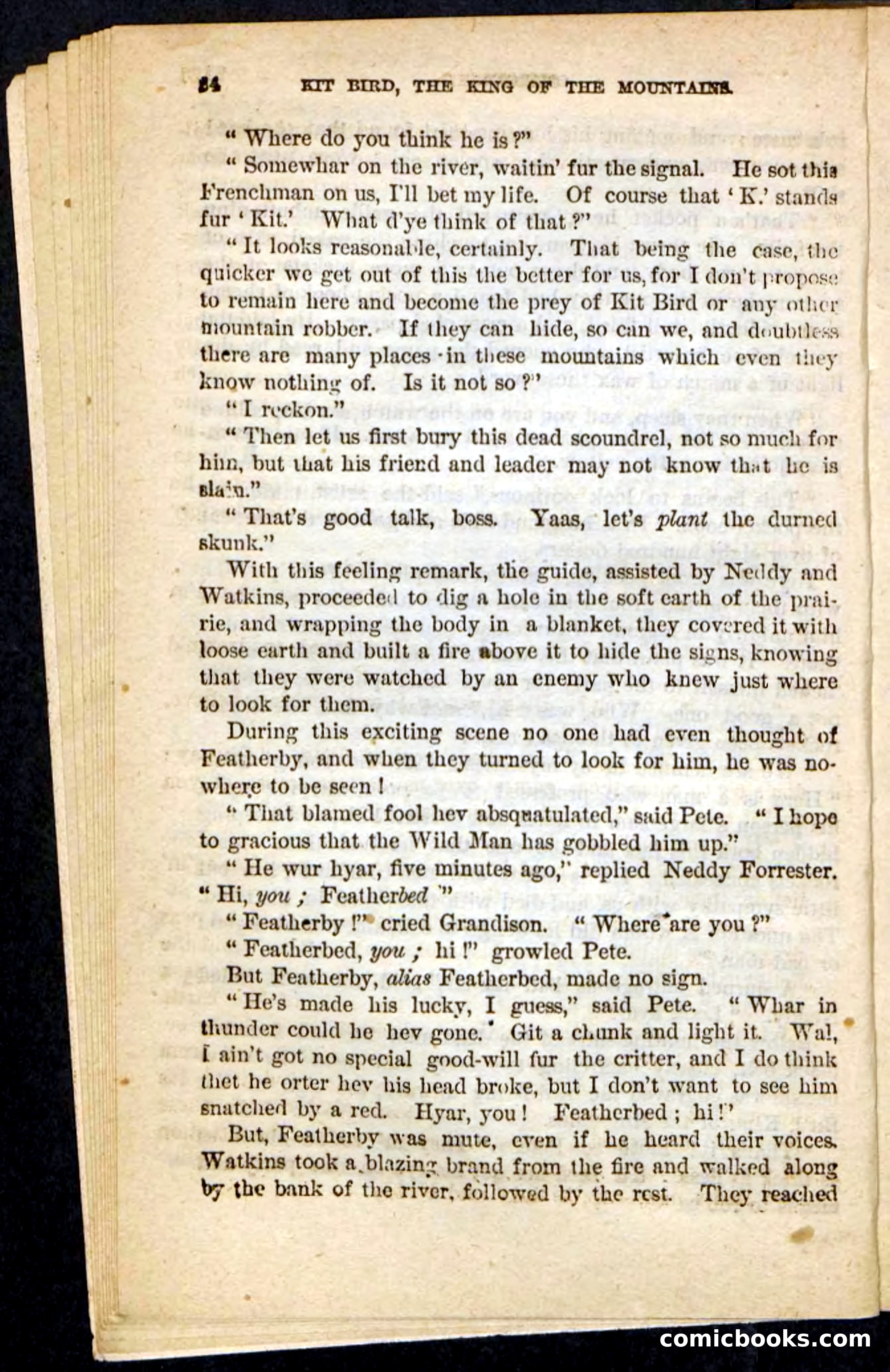 Kit Bird, Beadle's Pocket Novels No. 122 — page 20 of 100