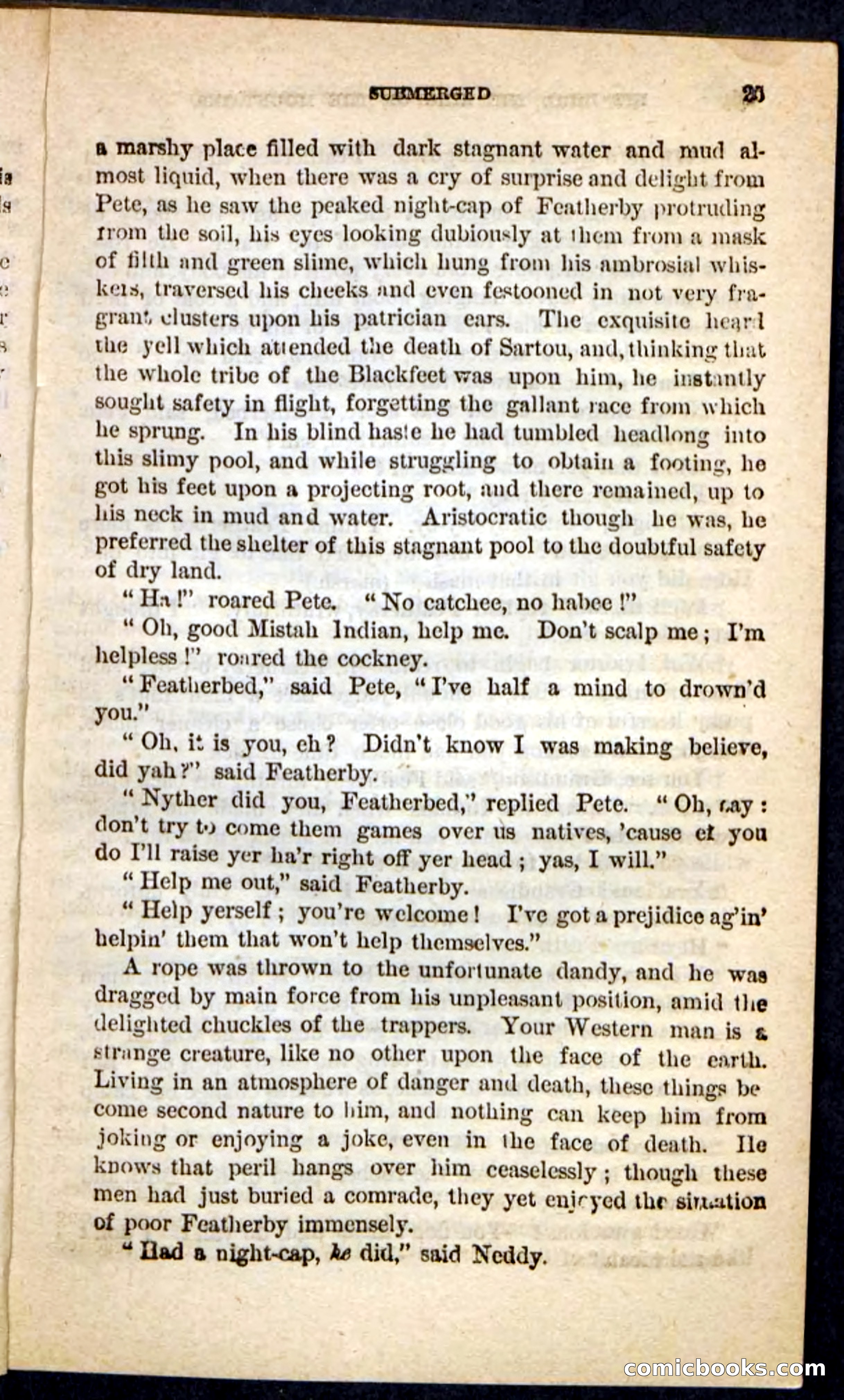 Kit Bird, Beadle's Pocket Novels No. 122 — page 21 of 100