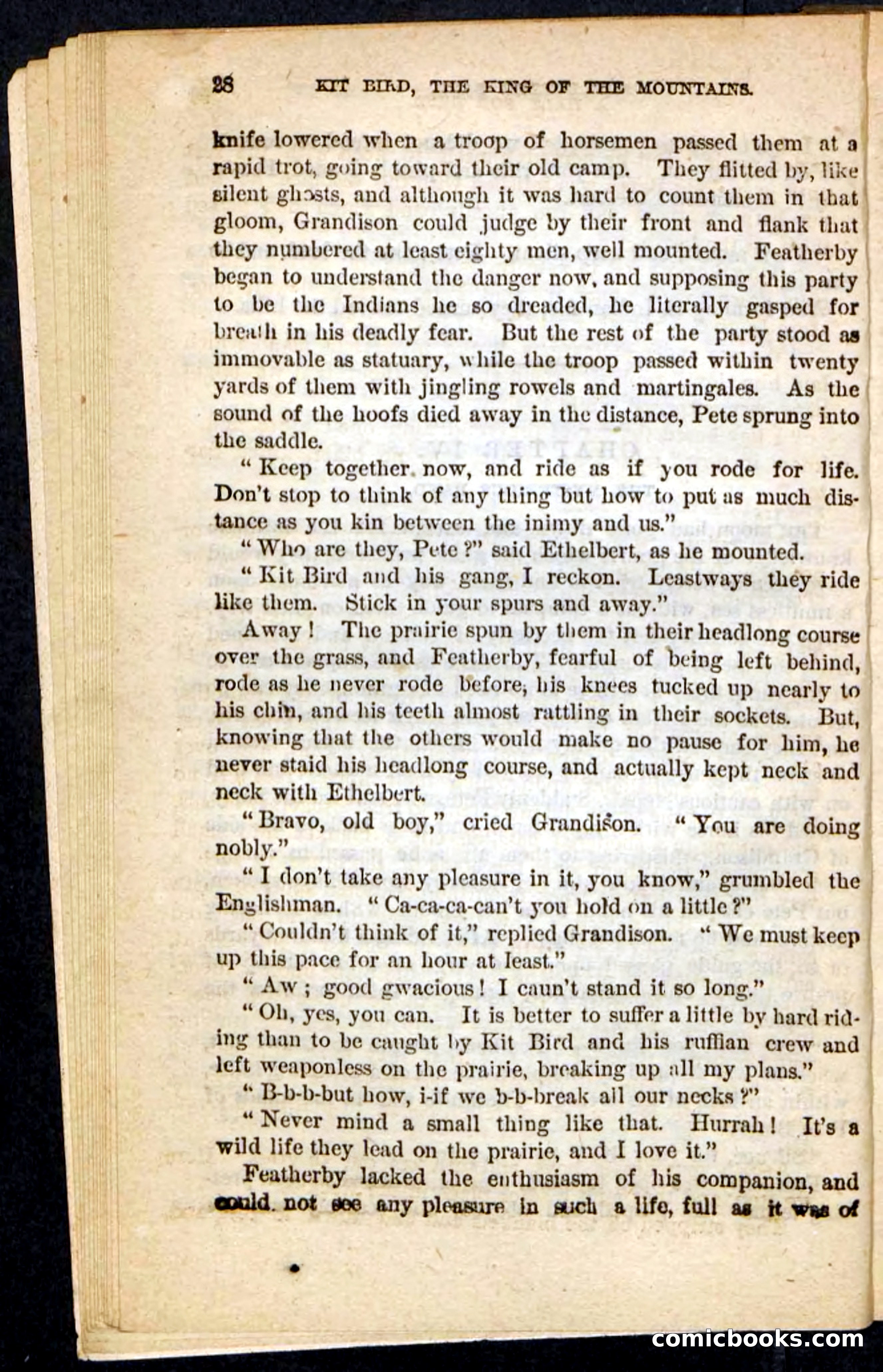 Kit Bird, Beadle's Pocket Novels No. 122 — page 24 of 100