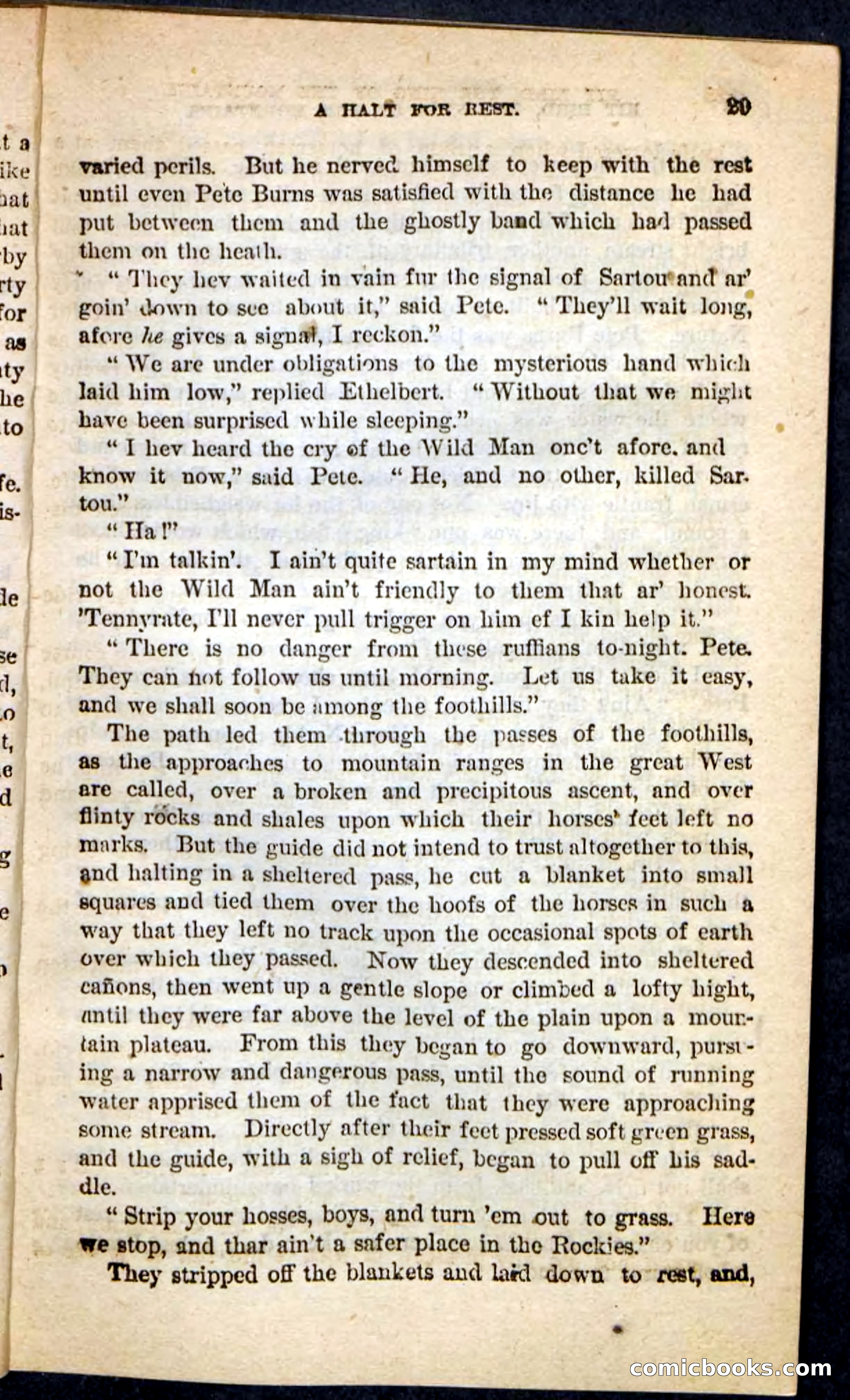 Kit Bird, Beadle's Pocket Novels No. 122 — page 25 of 100