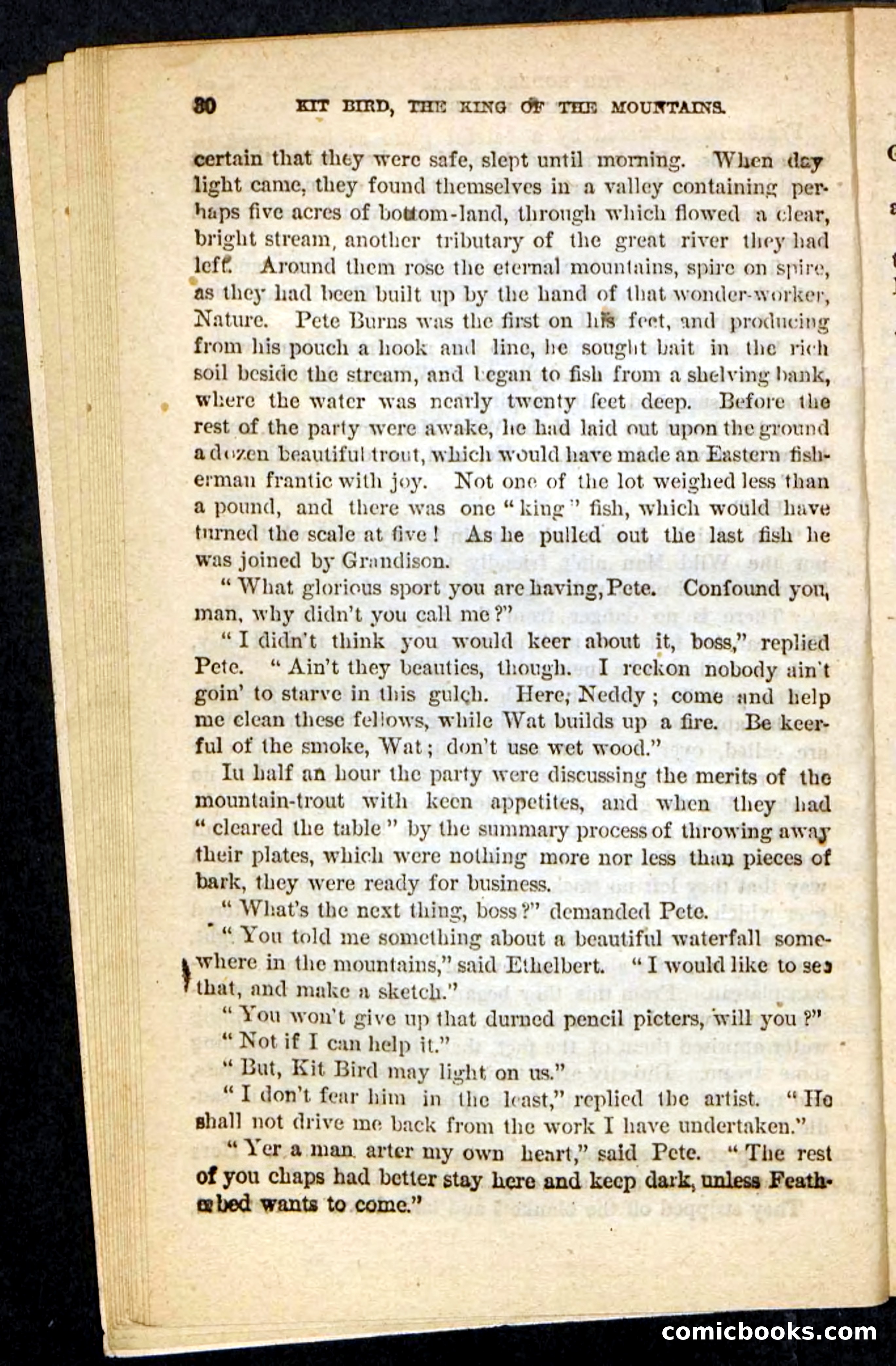 Kit Bird, Beadle's Pocket Novels No. 122 — page 26 of 100