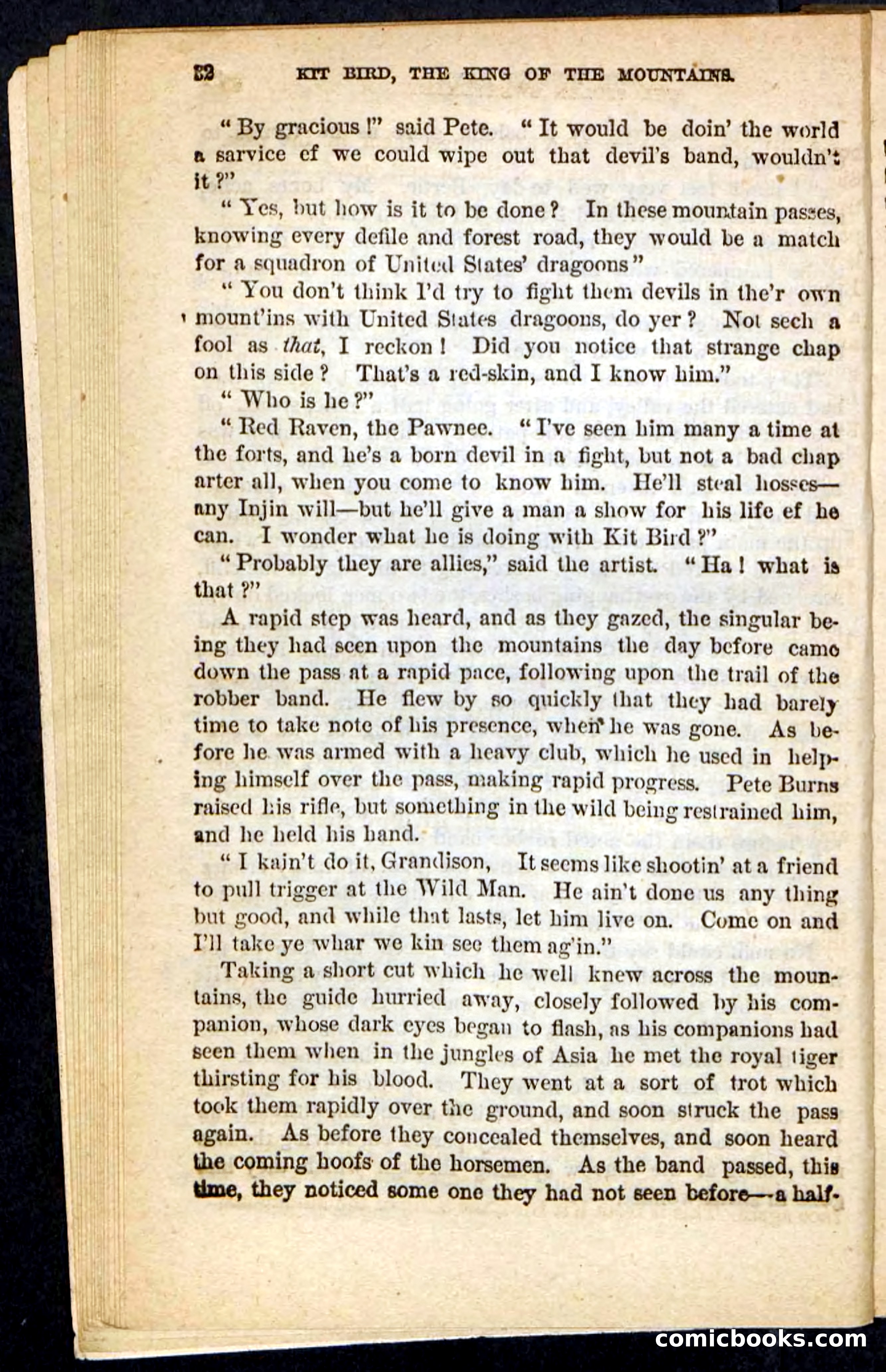 Kit Bird, Beadle's Pocket Novels No. 122 — page 28 of 100