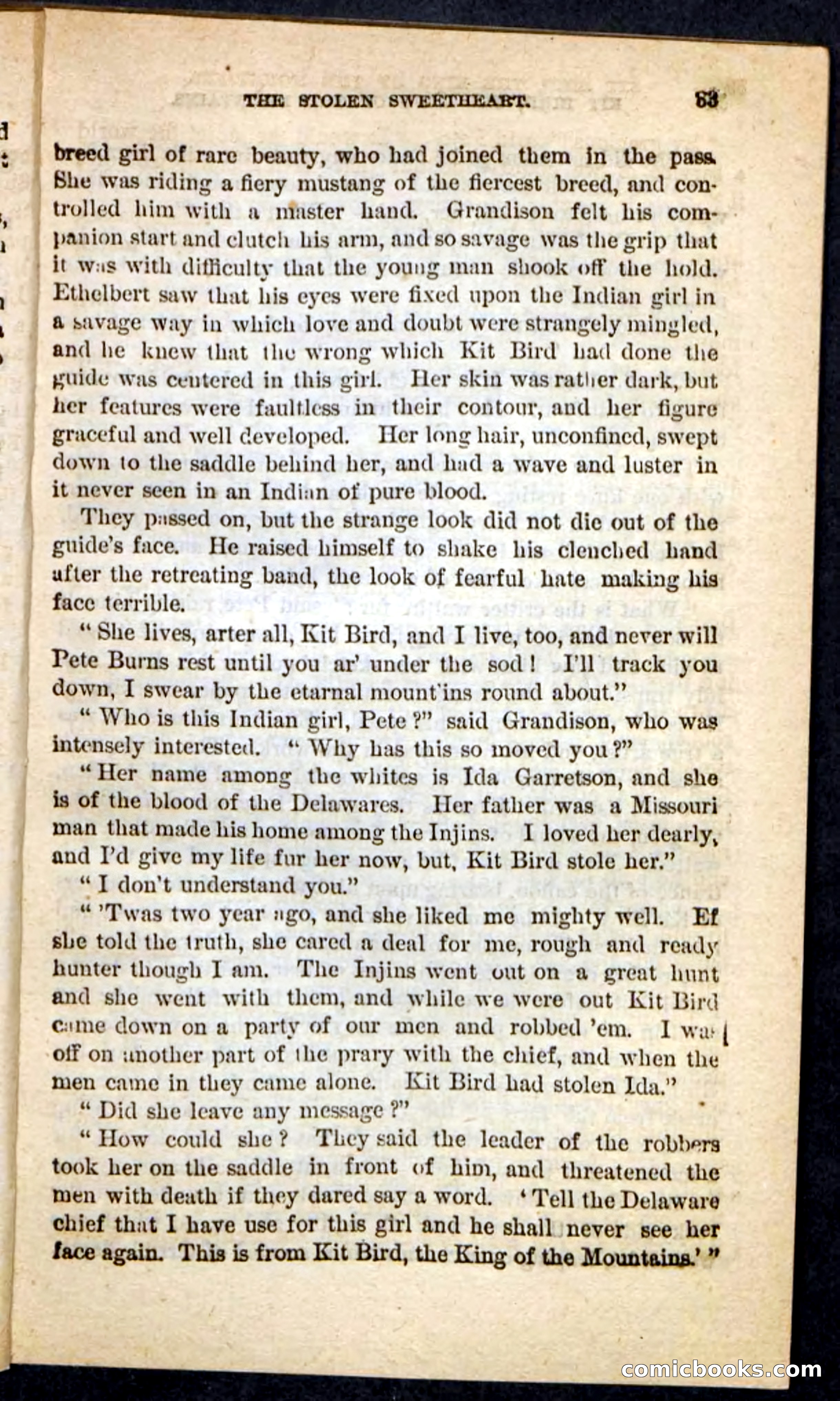 Kit Bird, Beadle's Pocket Novels No. 122 — page 29 of 100